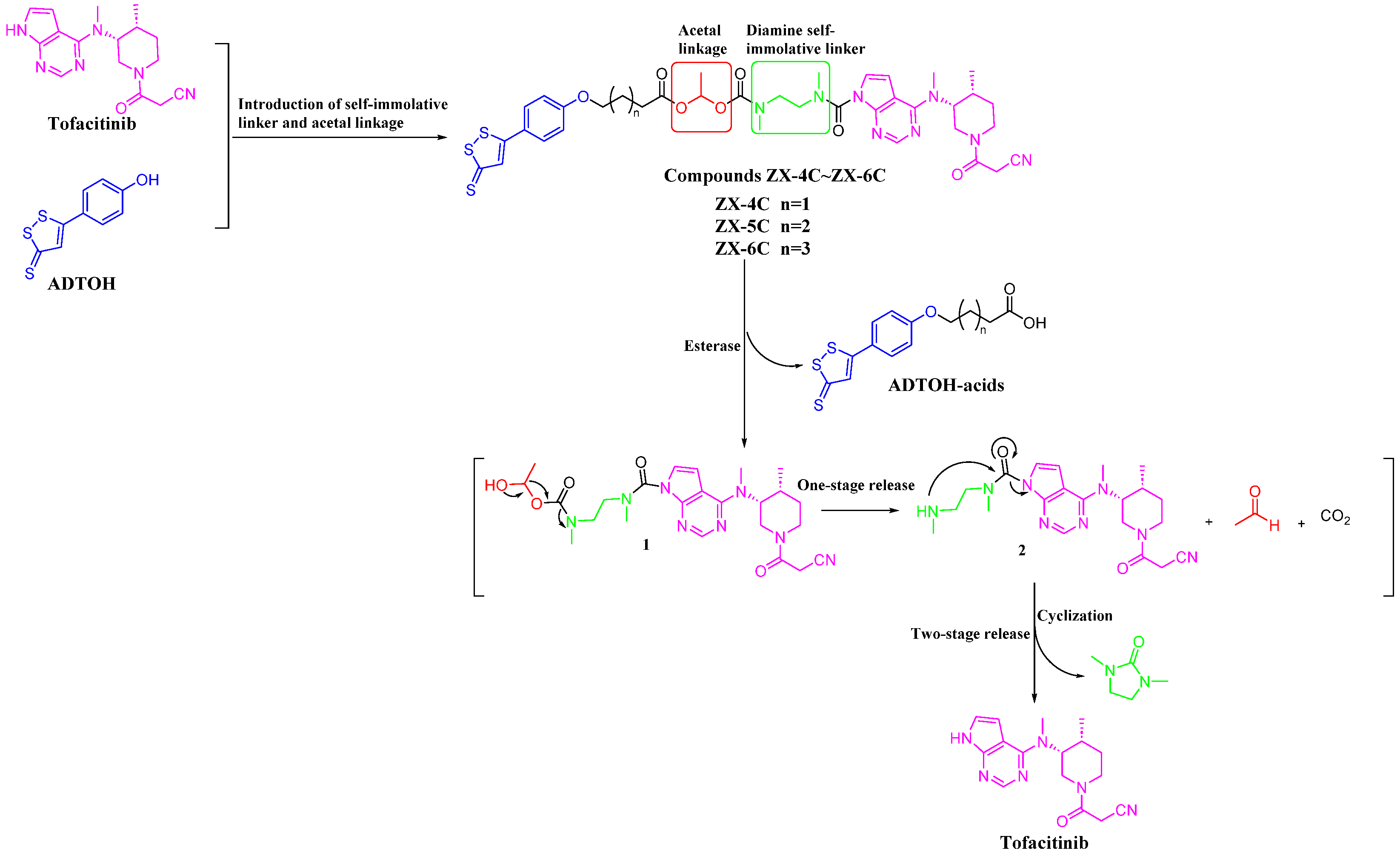Antioxidants 14 00325 g002