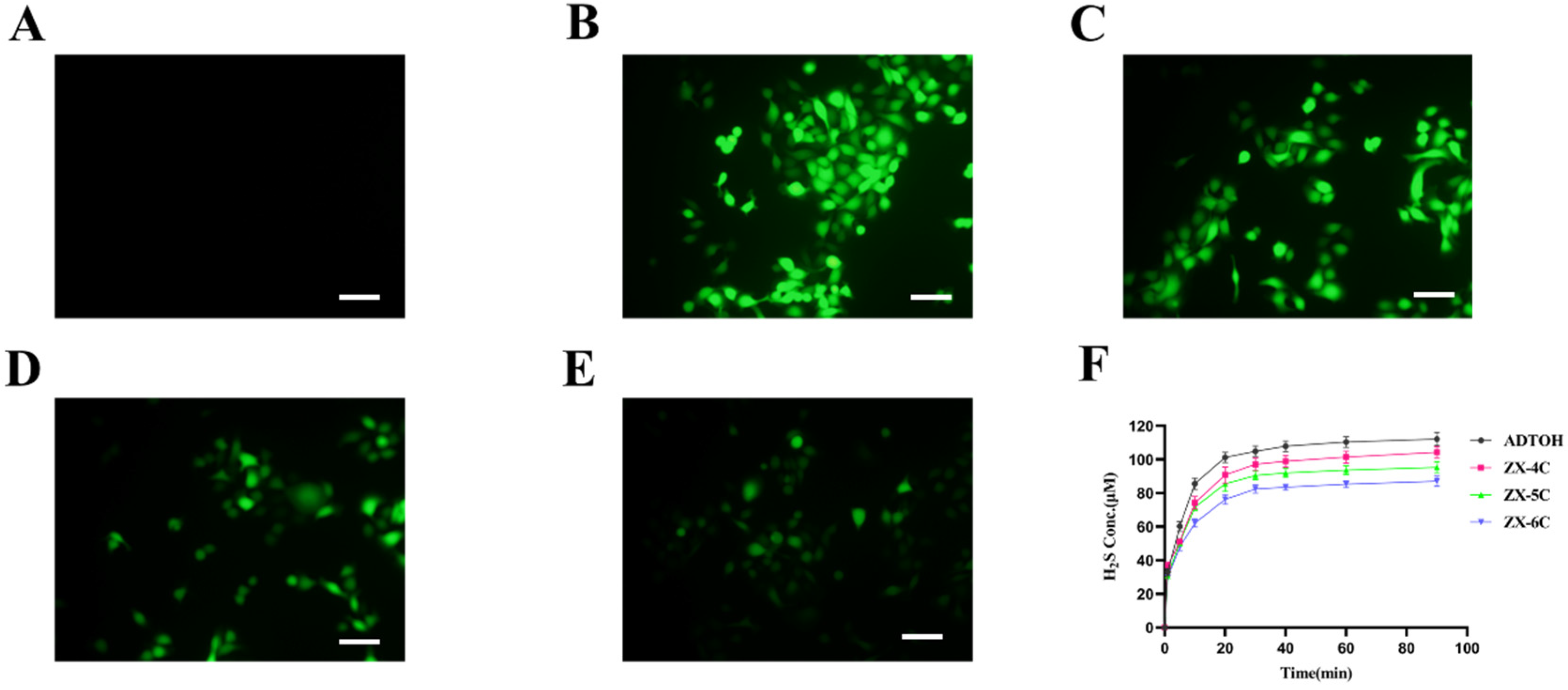 Antioxidants 14 00325 g003