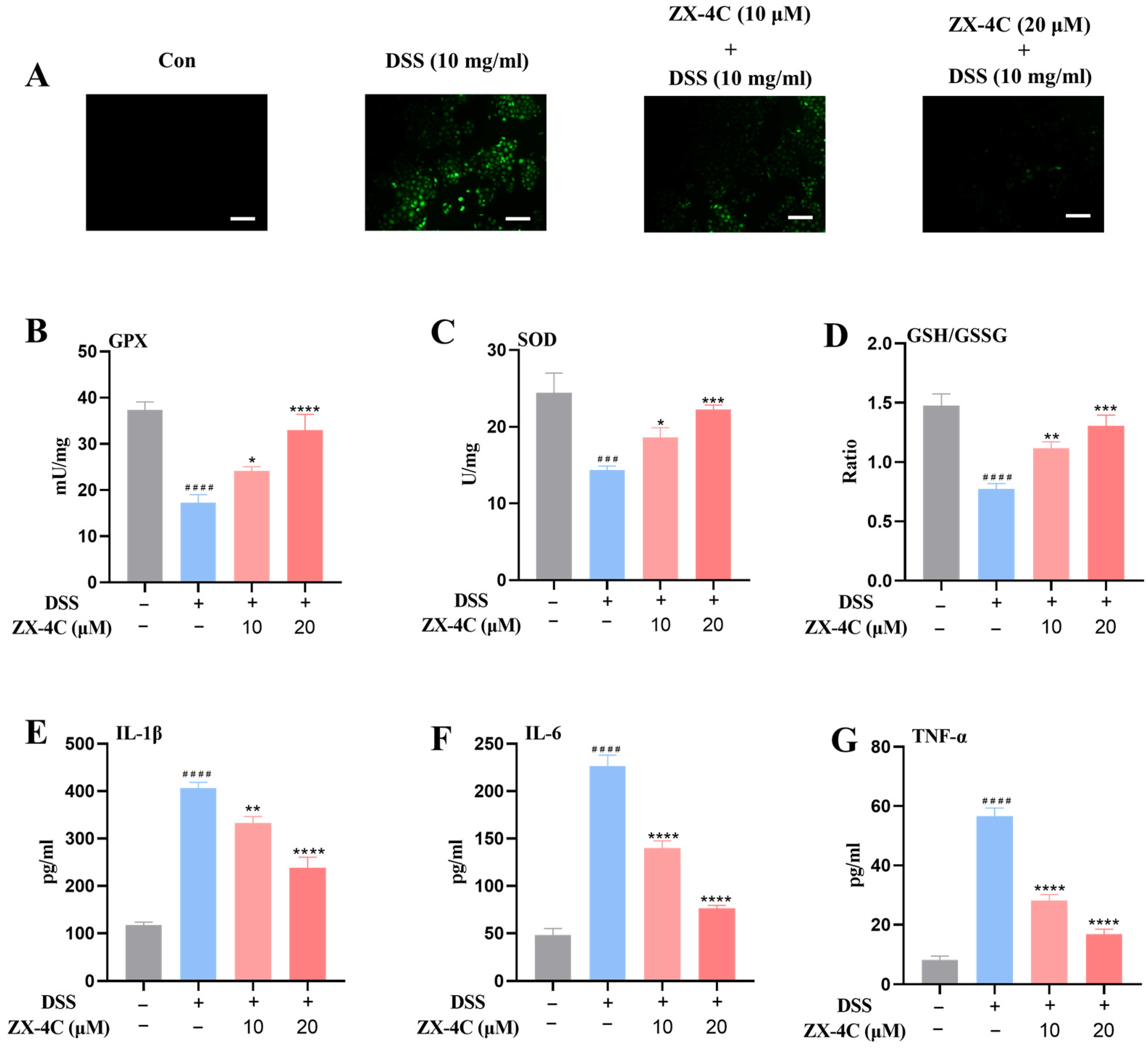 Antioxidants 14 00325 g005