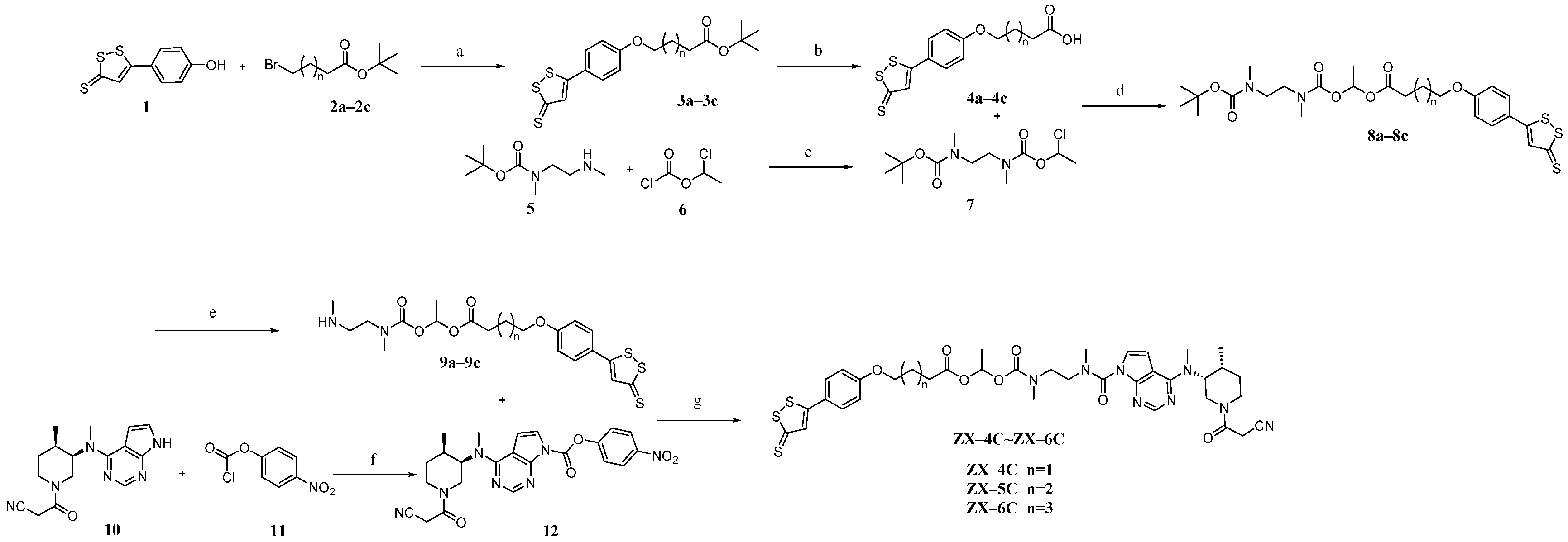 Antioxidants 14 00325 sch001