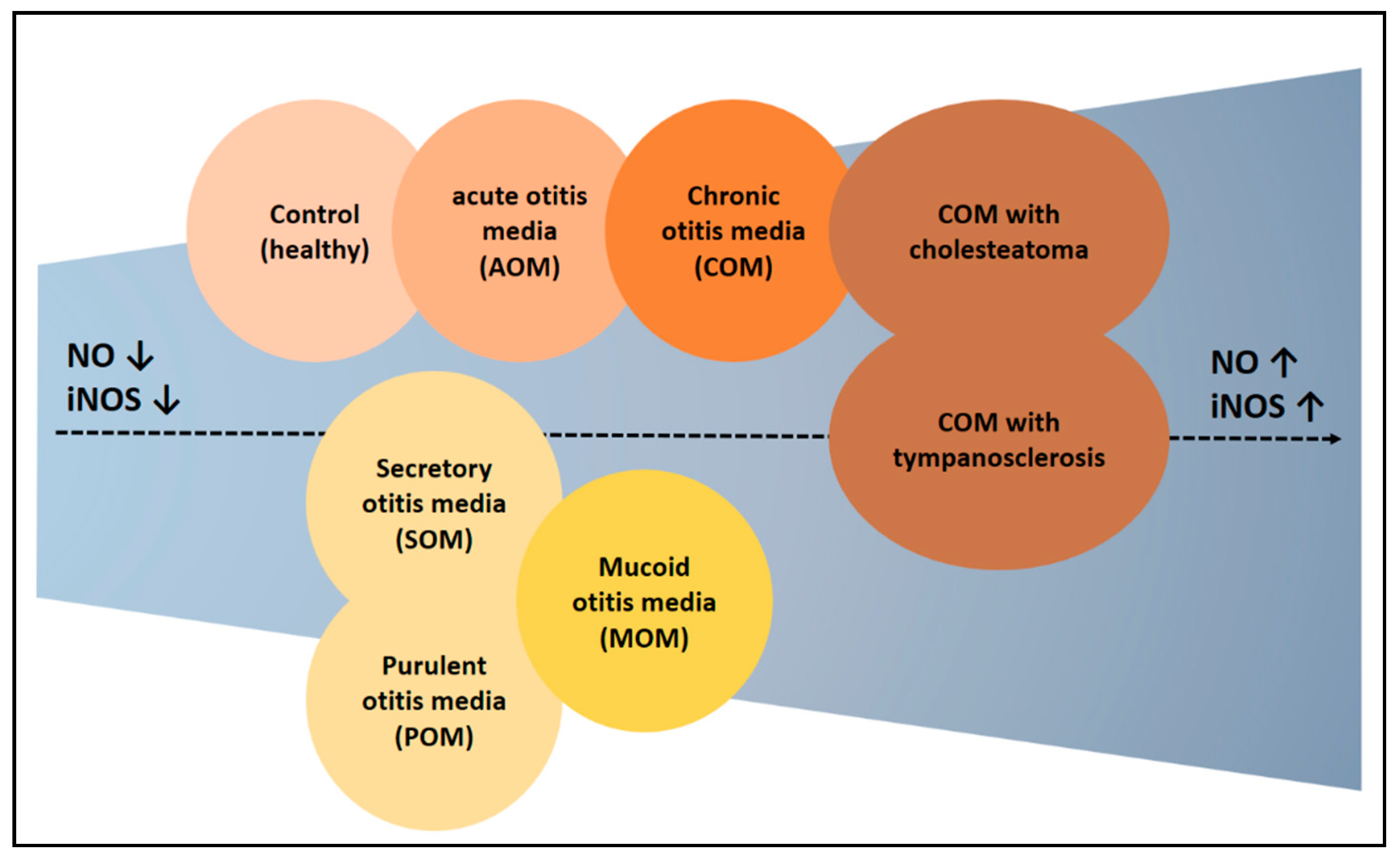 Antioxidants 14 00327 g004