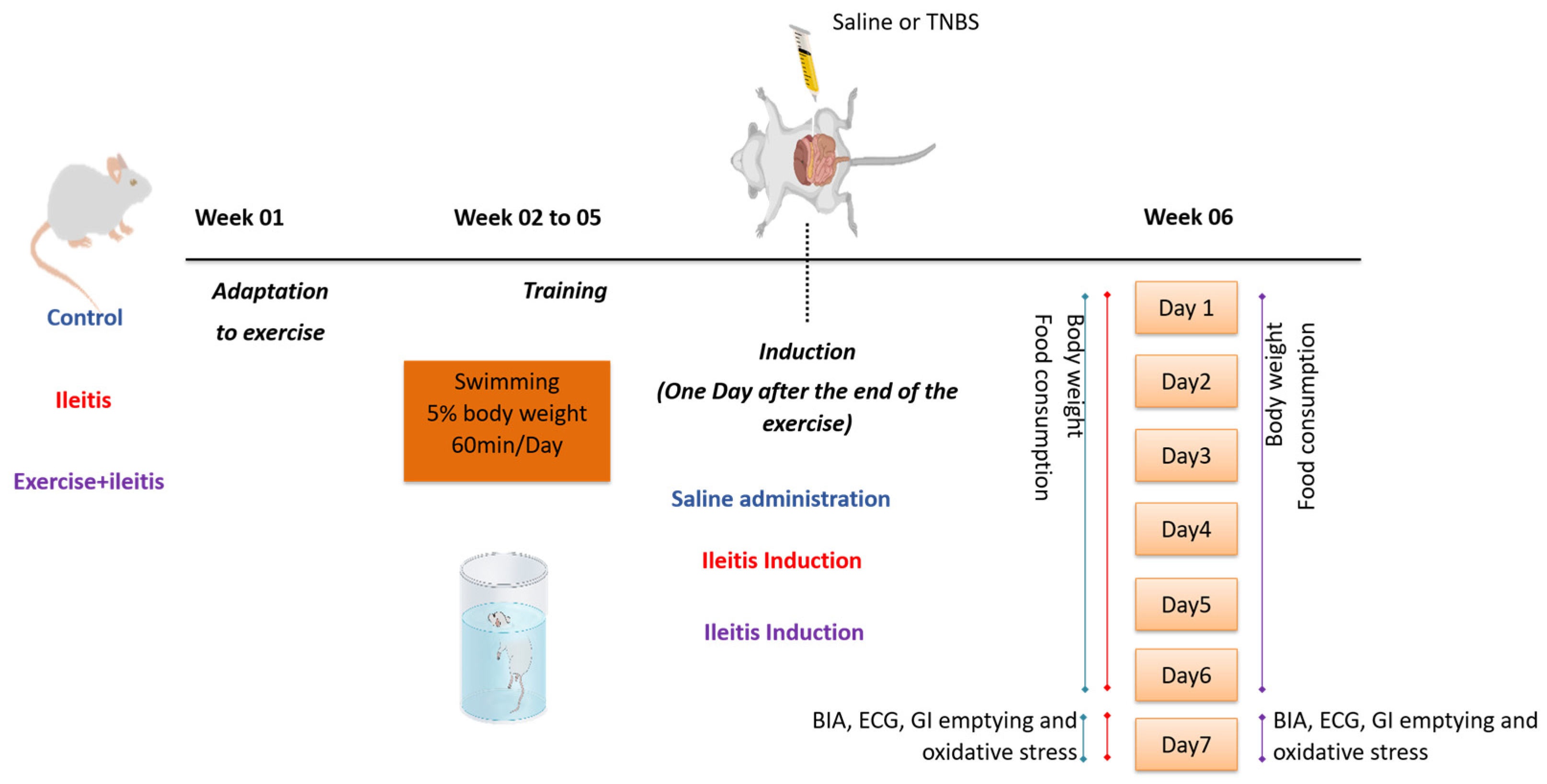 Antioxidants 14 00328 g001