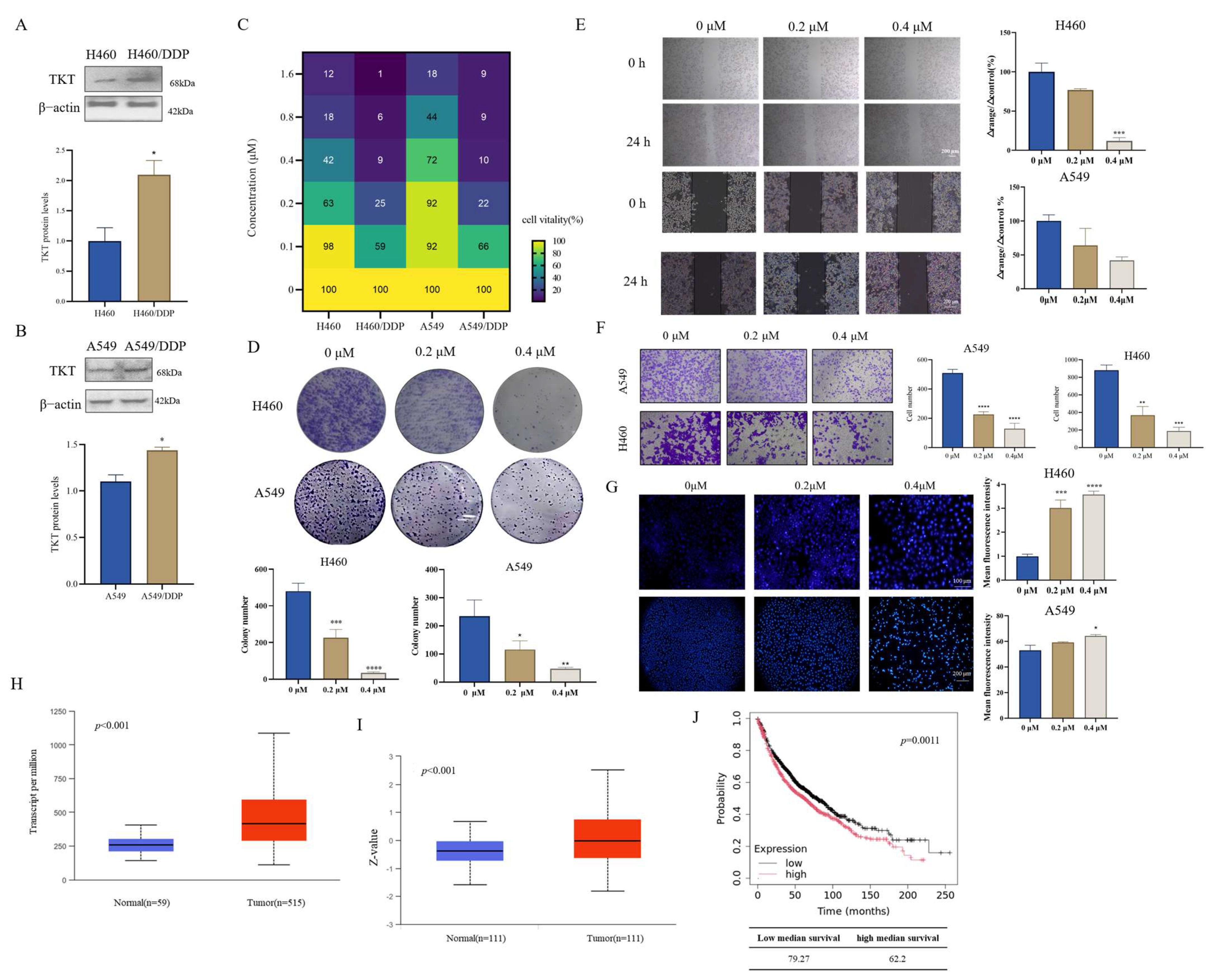 Antioxidants 14 00330 g005
