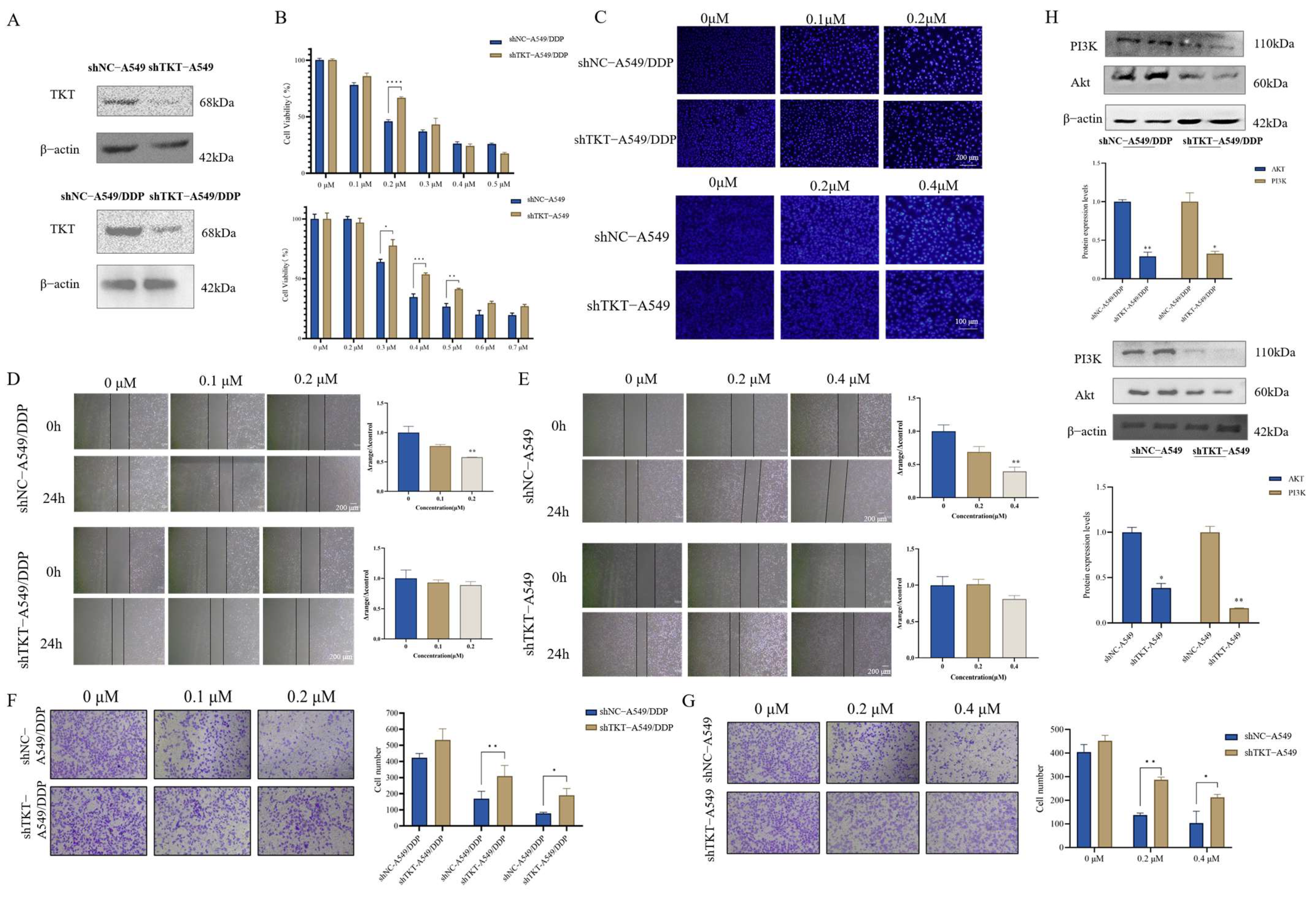 Antioxidants 14 00330 g006