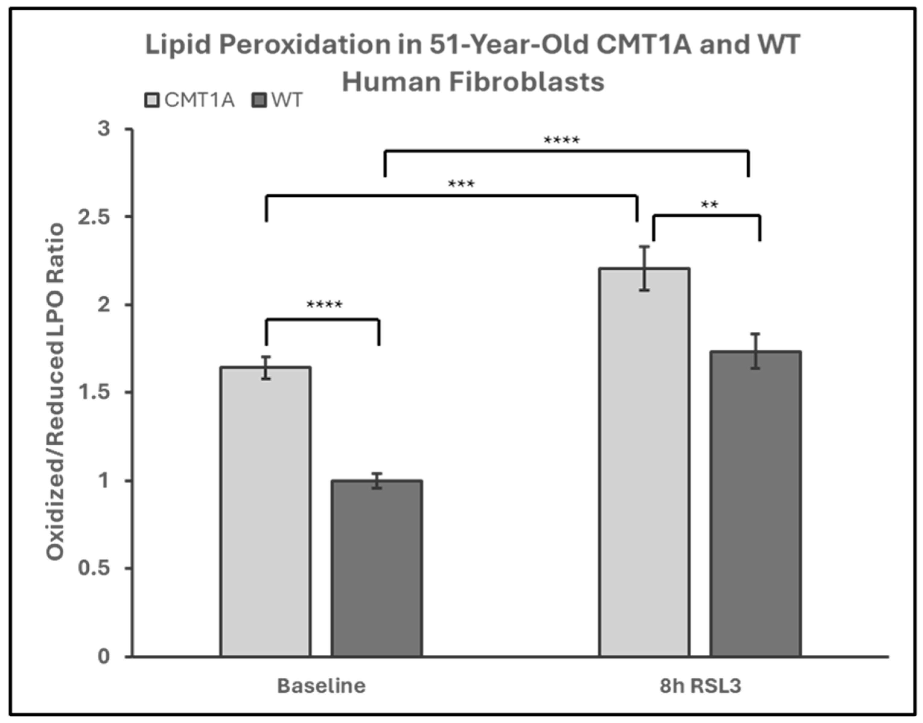 Antioxidants 14 00331 g006