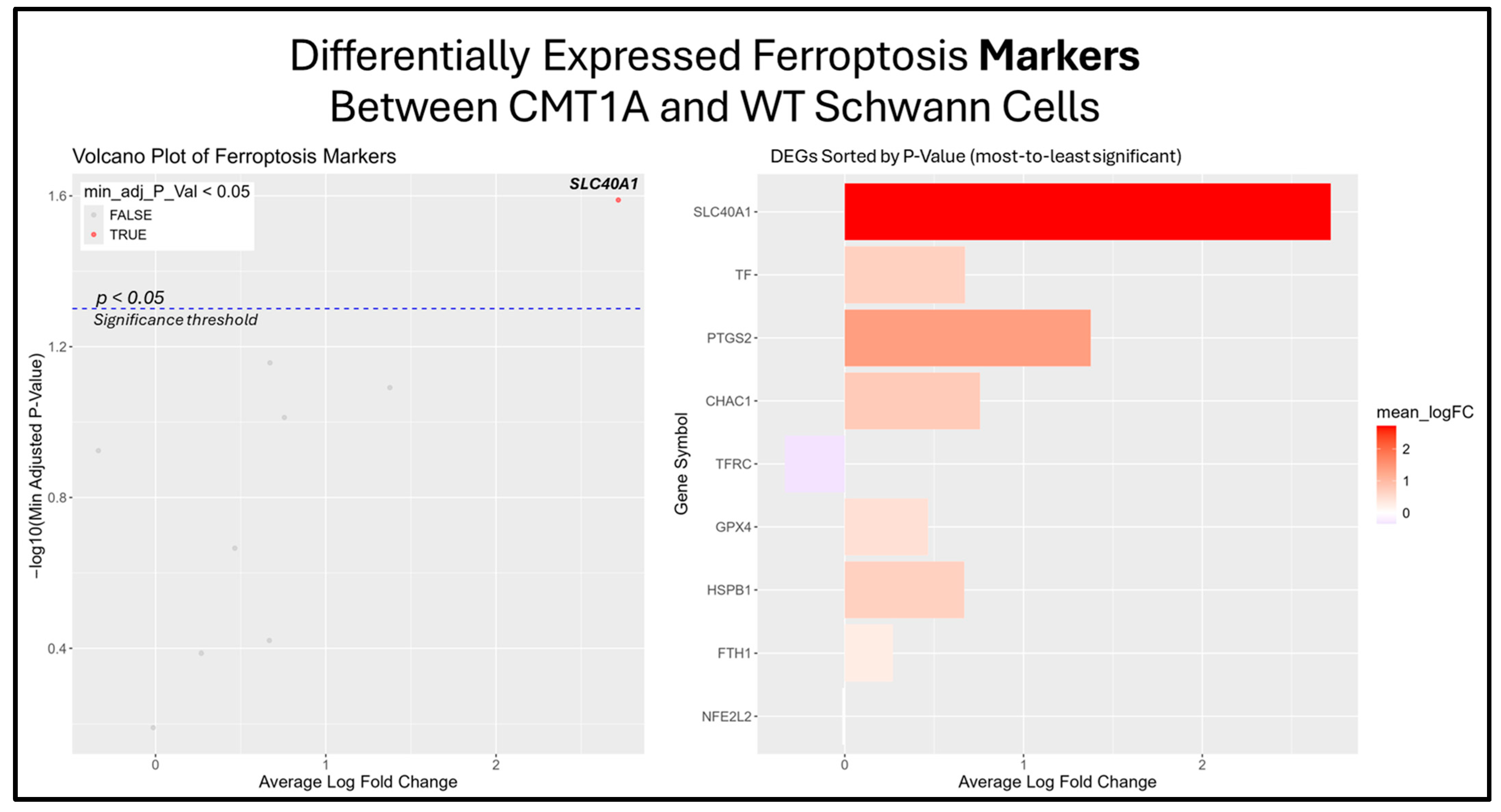 Antioxidants 14 00331 g008