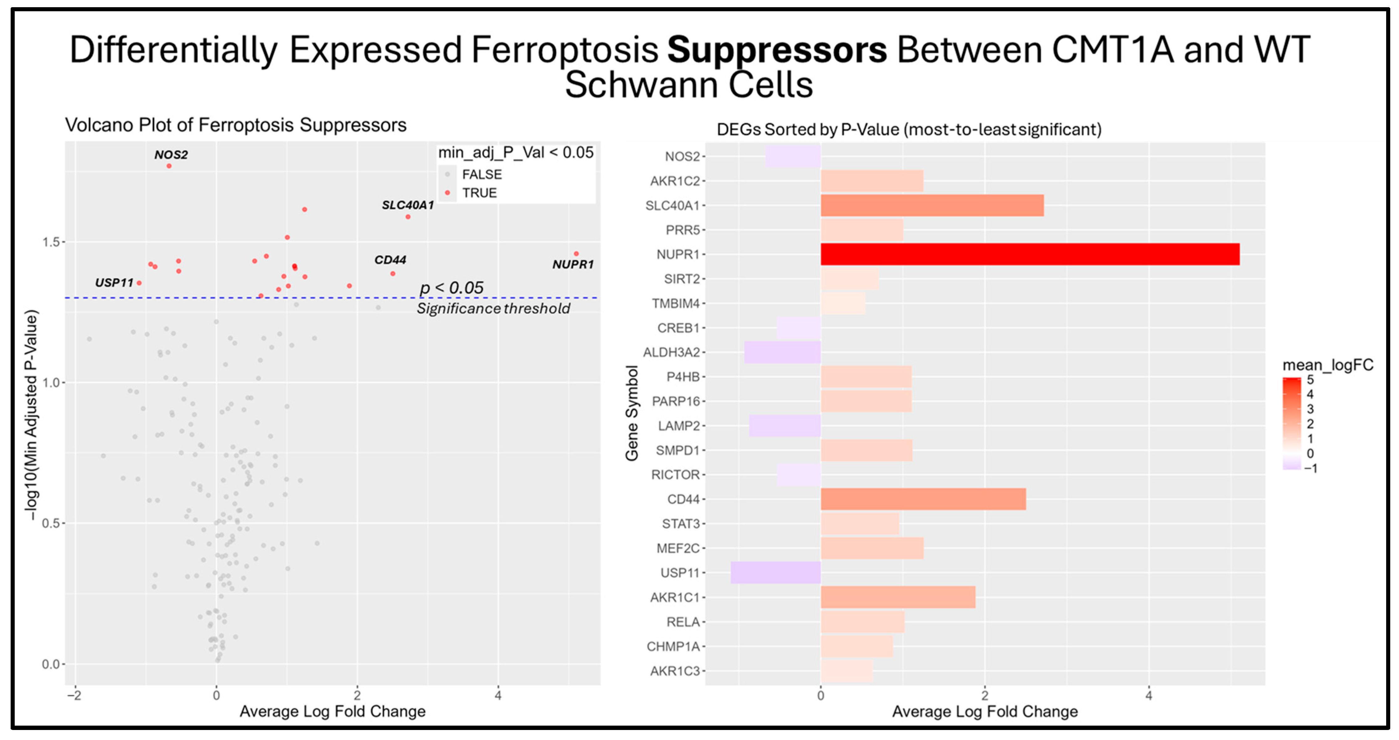 Antioxidants 14 00331 g010
