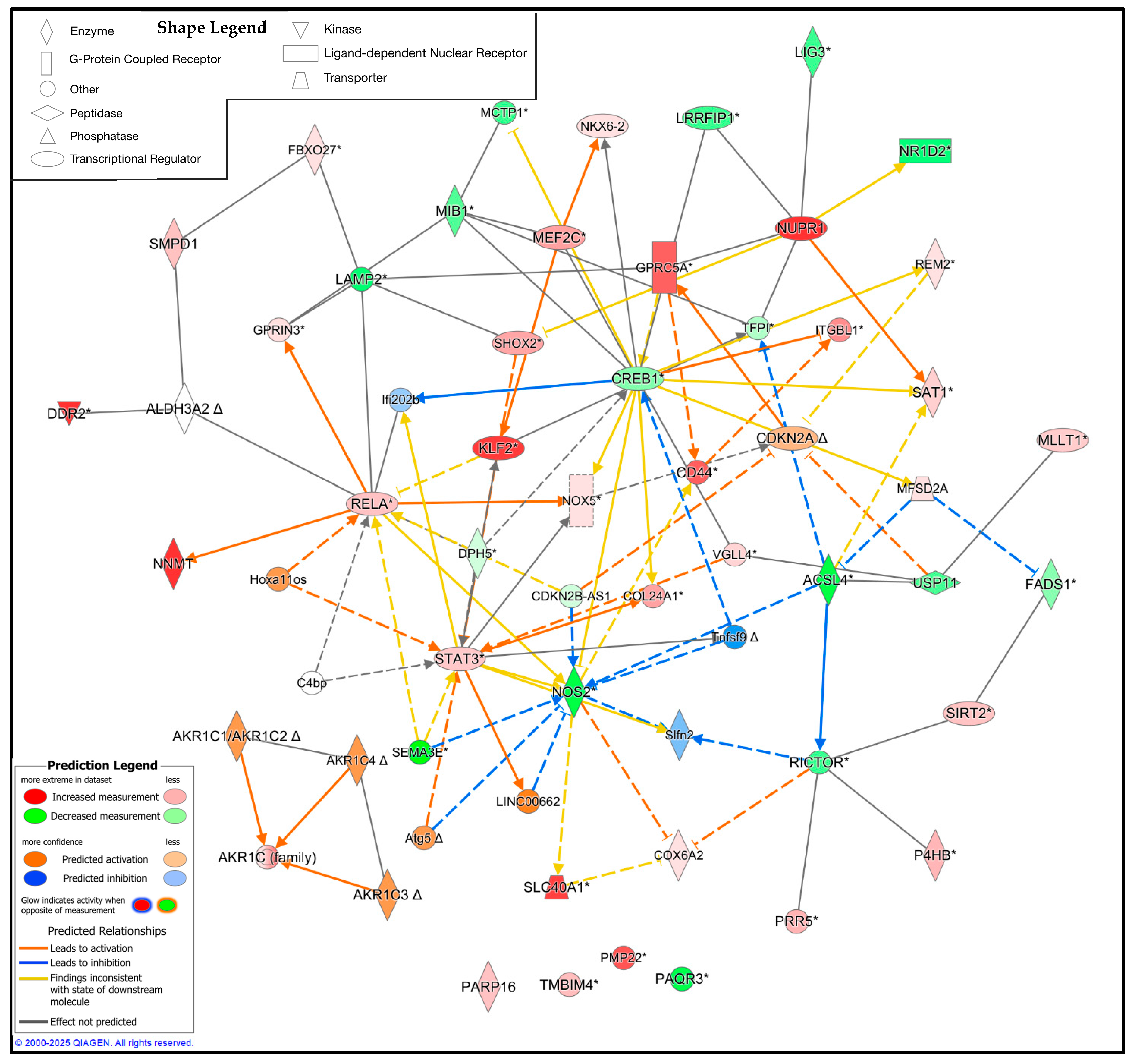 Antioxidants 14 00331 g011