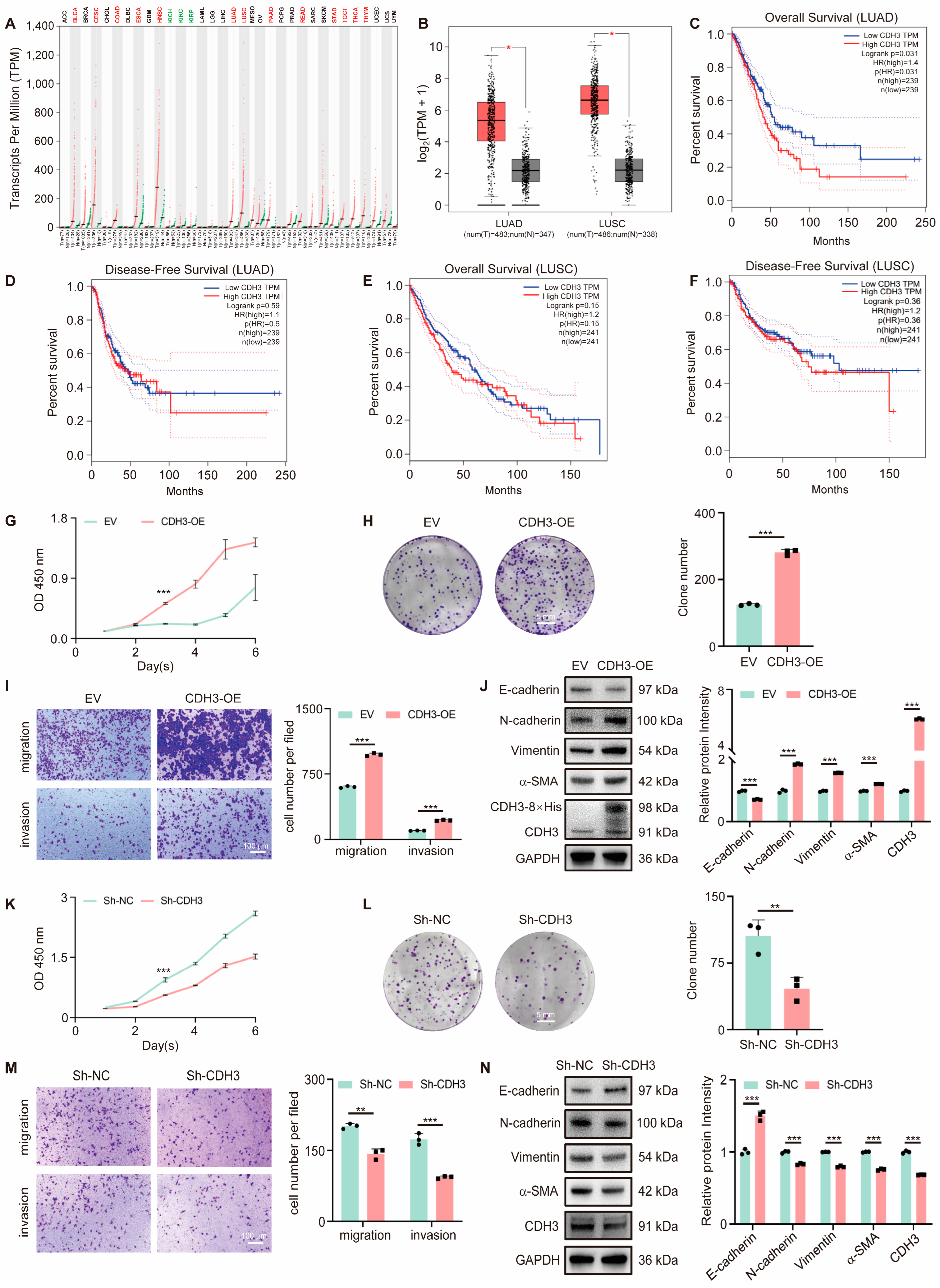Antioxidants 14 00332 g002