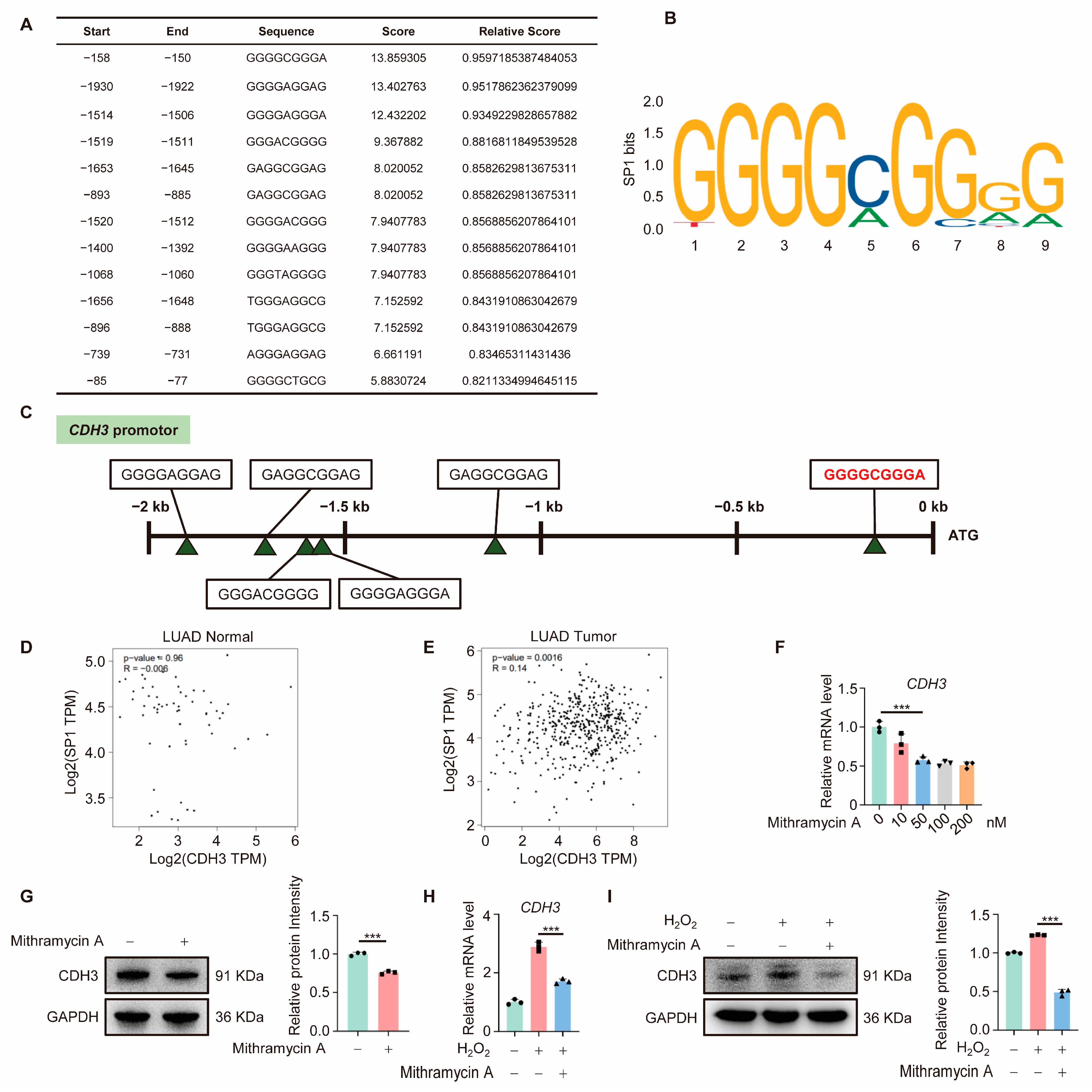 Antioxidants 14 00332 g004