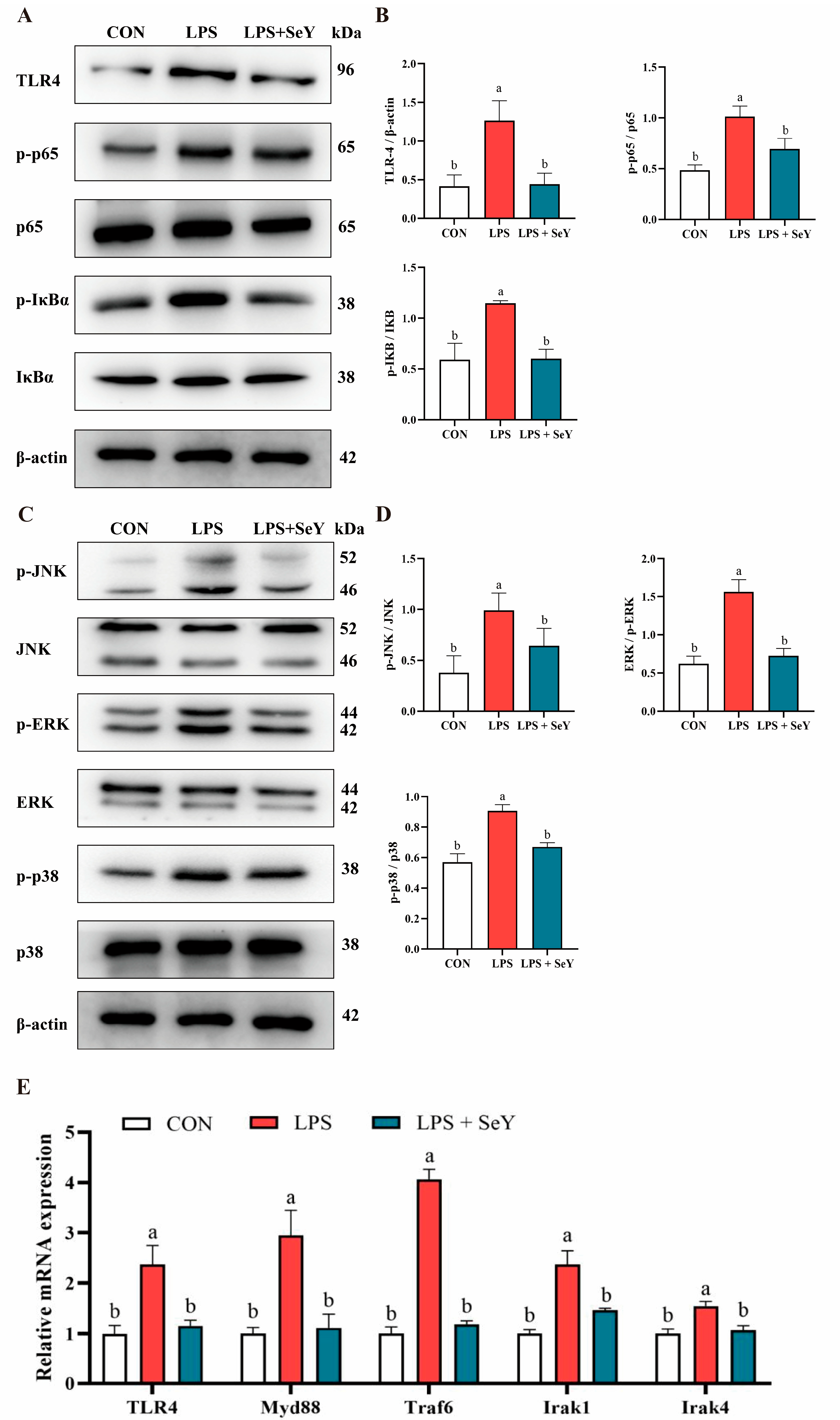 Antioxidants 14 00334 g004