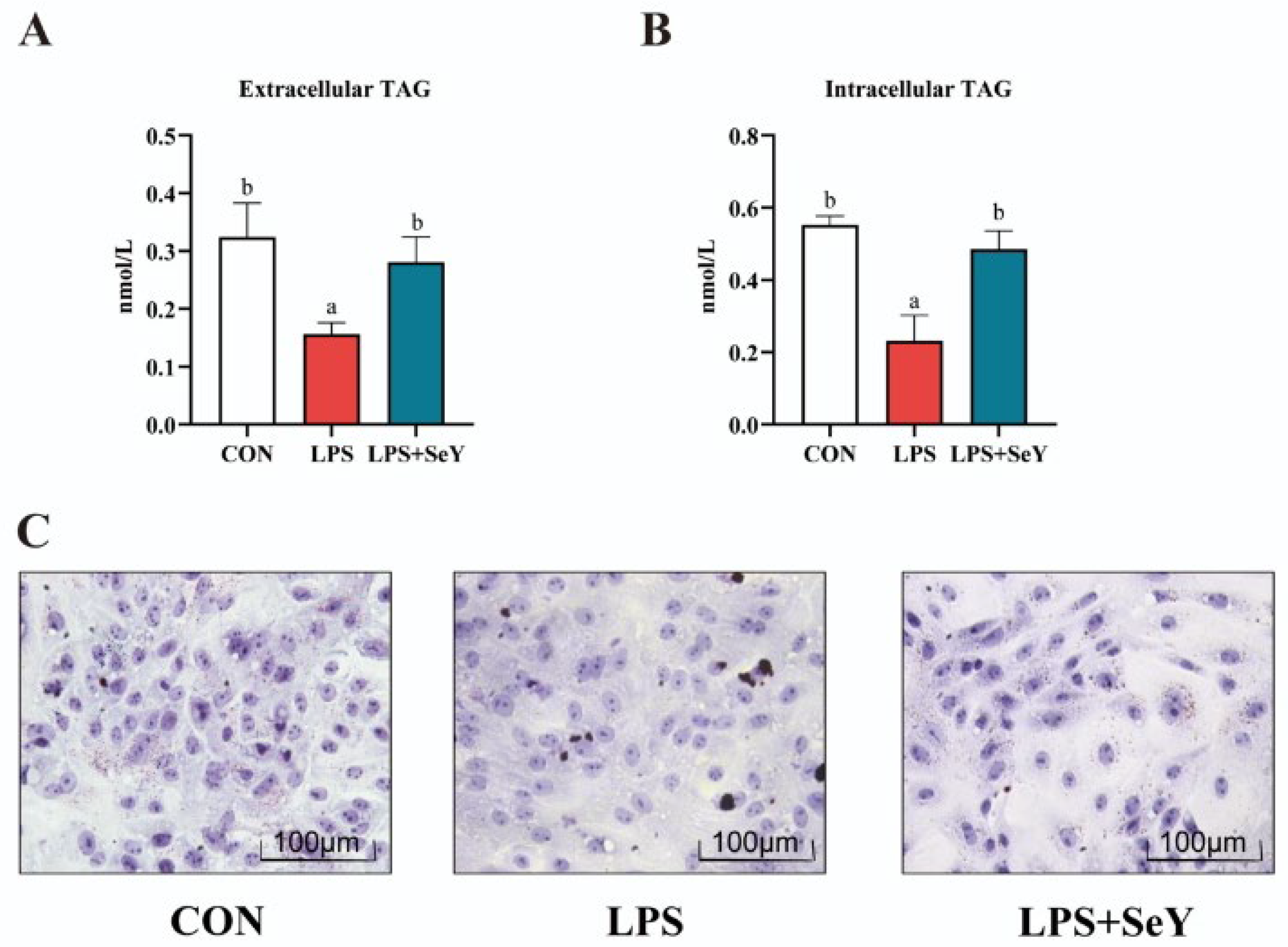Antioxidants 14 00334 g005