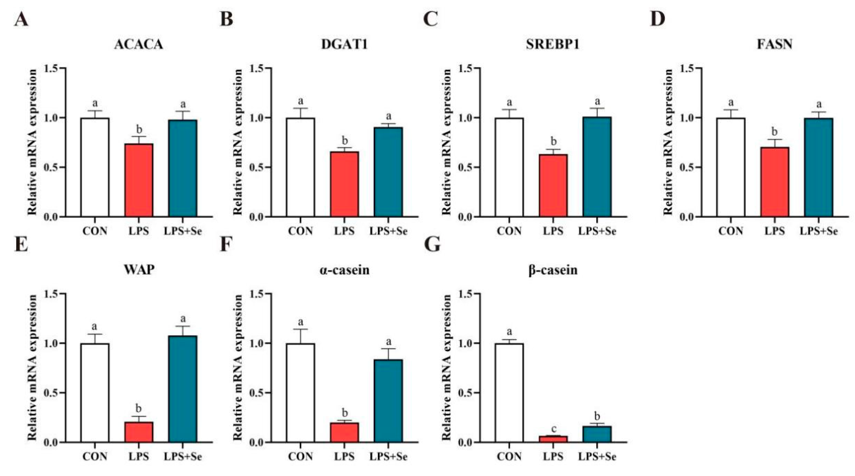 Antioxidants 14 00334 g006