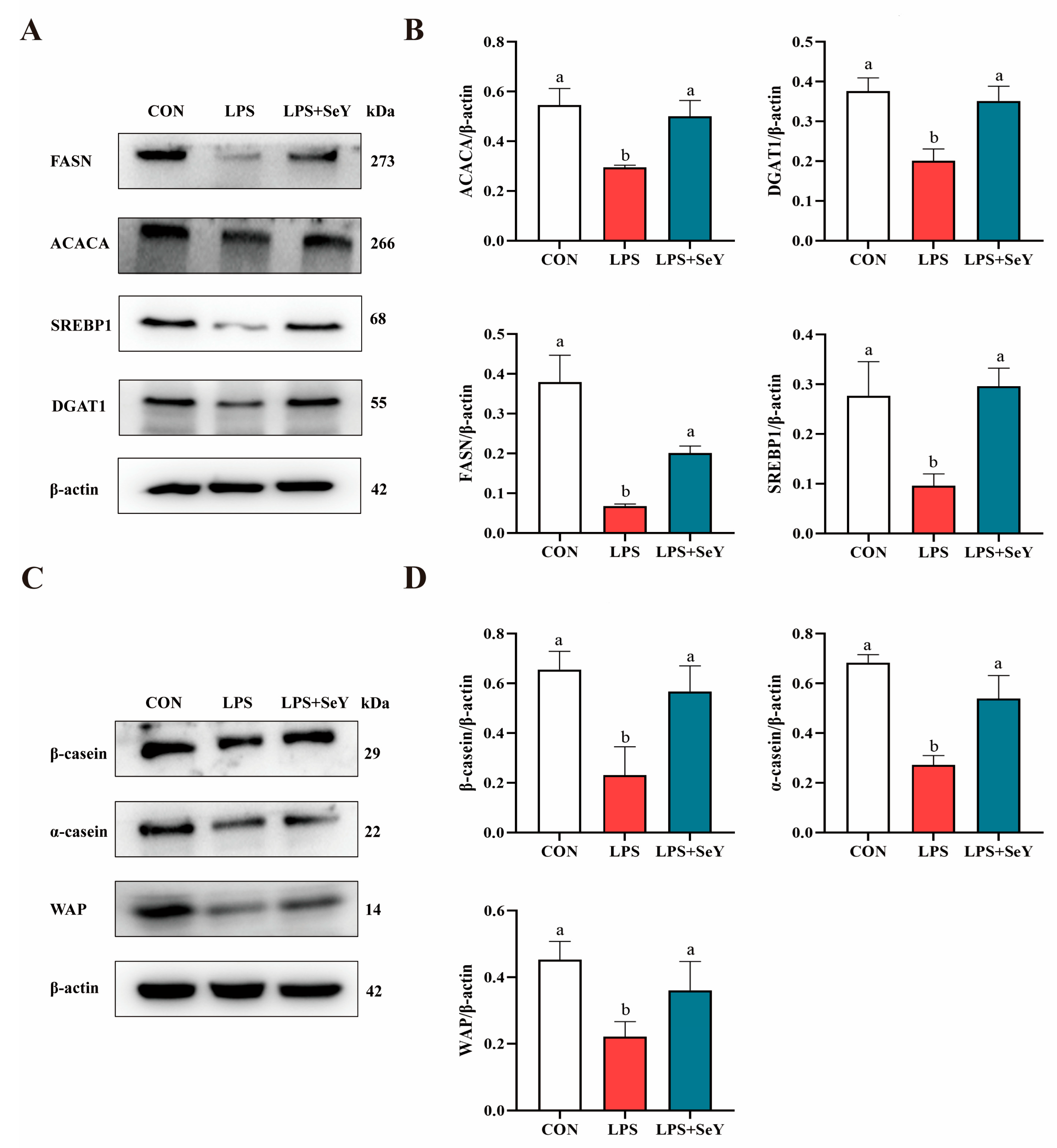 Antioxidants 14 00334 g007