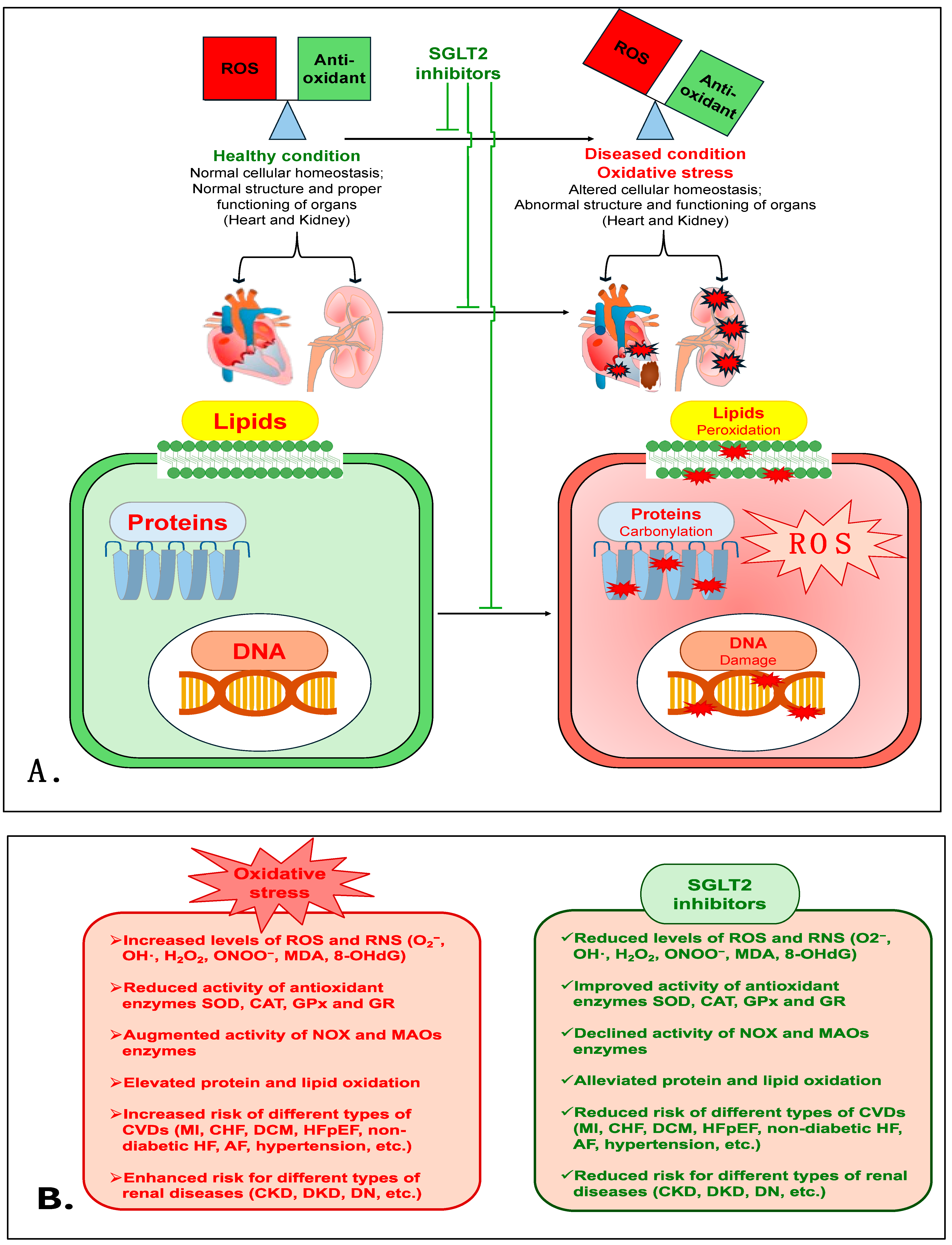Antioxidants 14 00336 g002