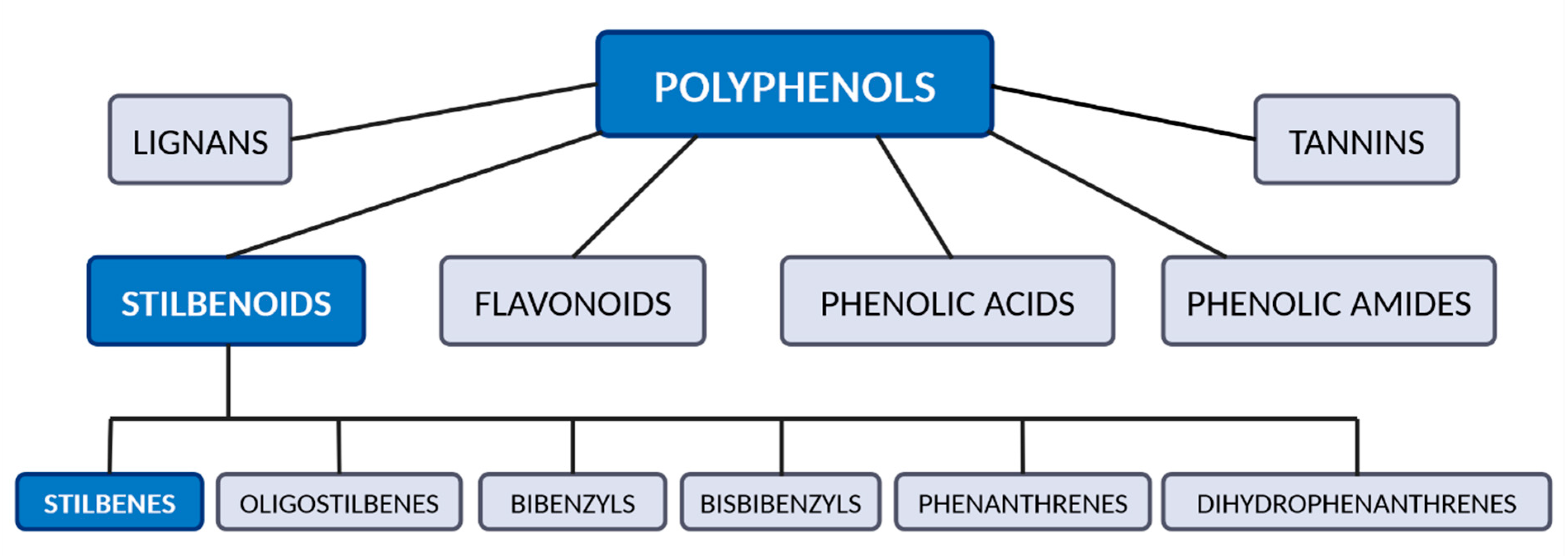 Antioxidants 14 00339 g001