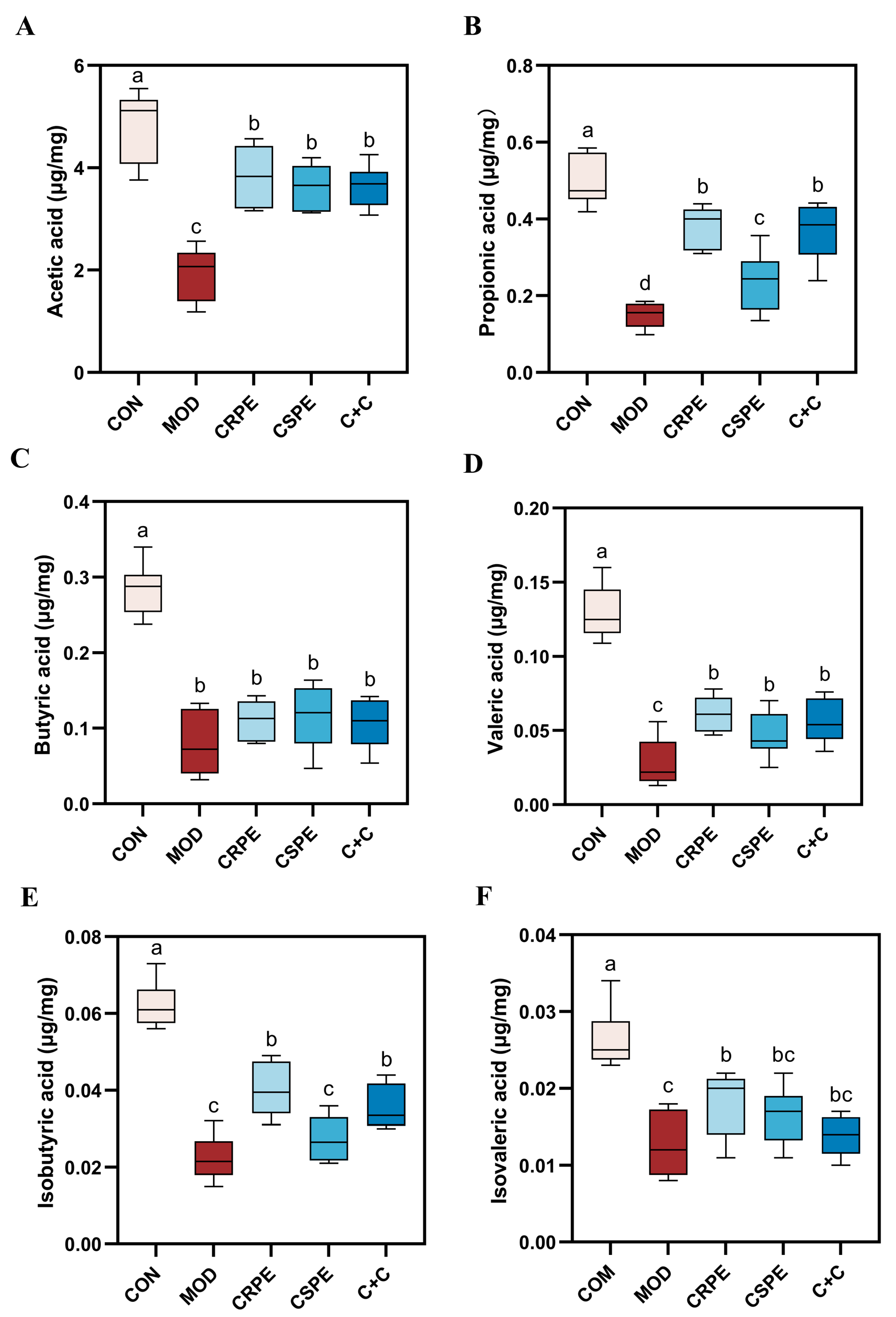 Antioxidants 14 00343 g006