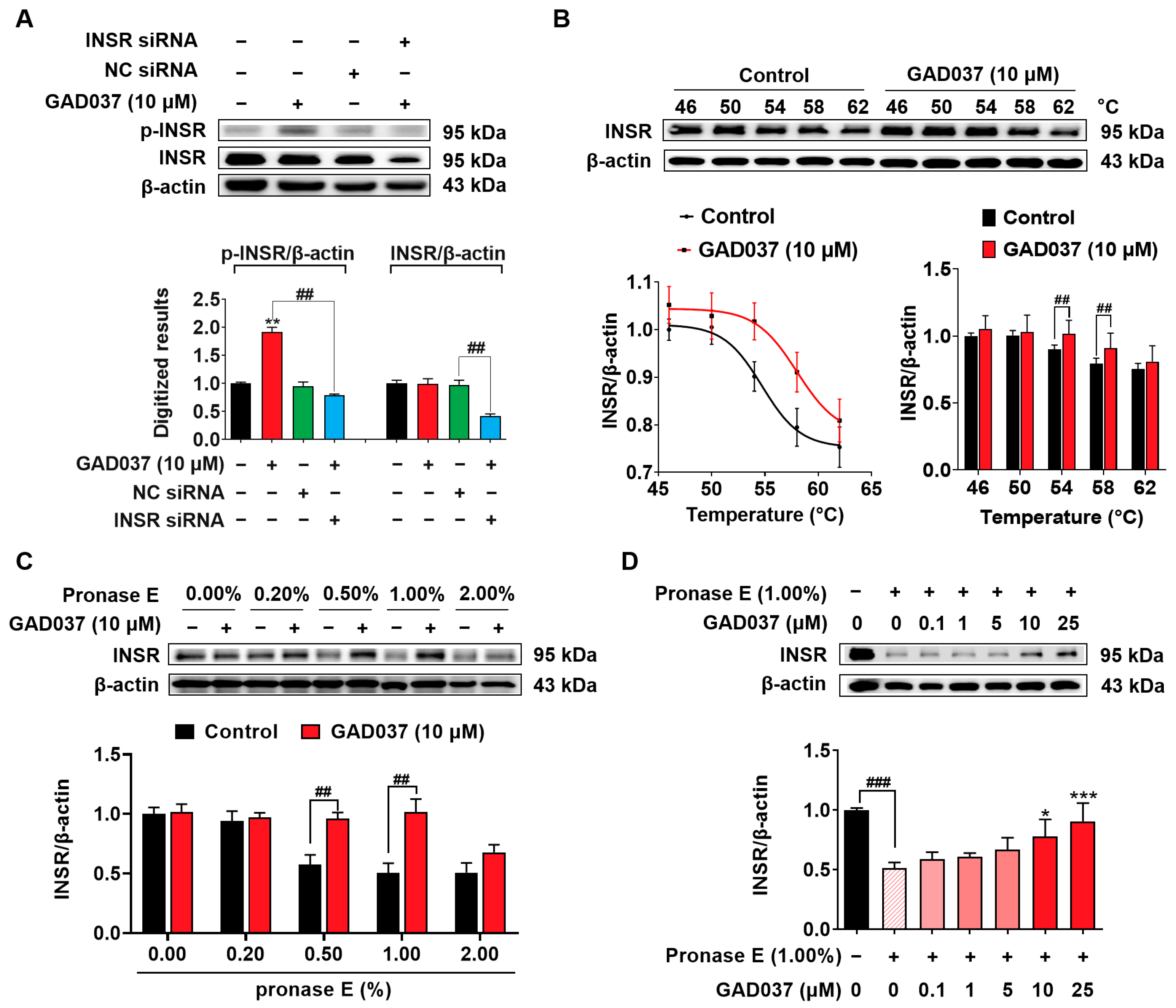 Antioxidants 14 00344 g004