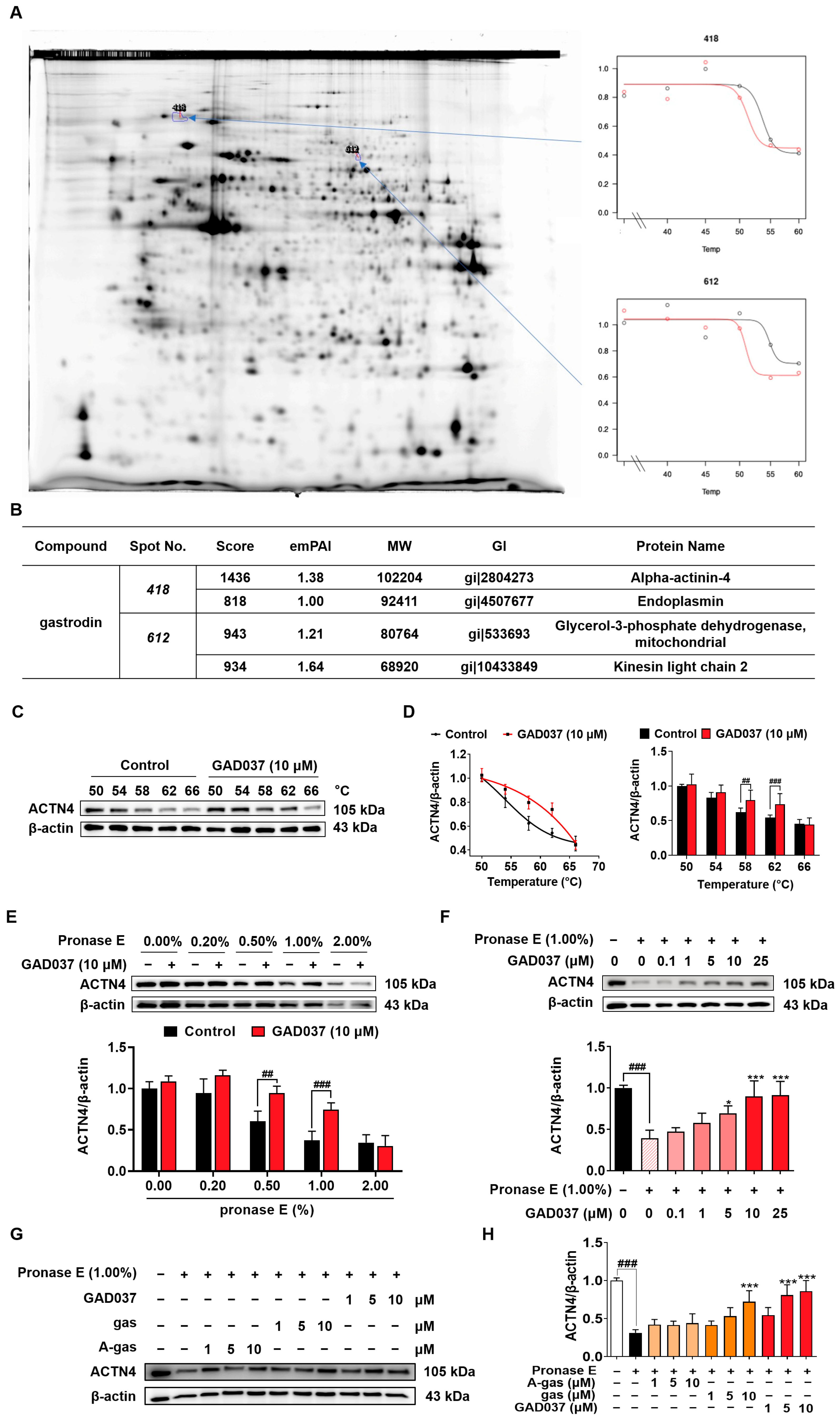 Antioxidants 14 00344 g005