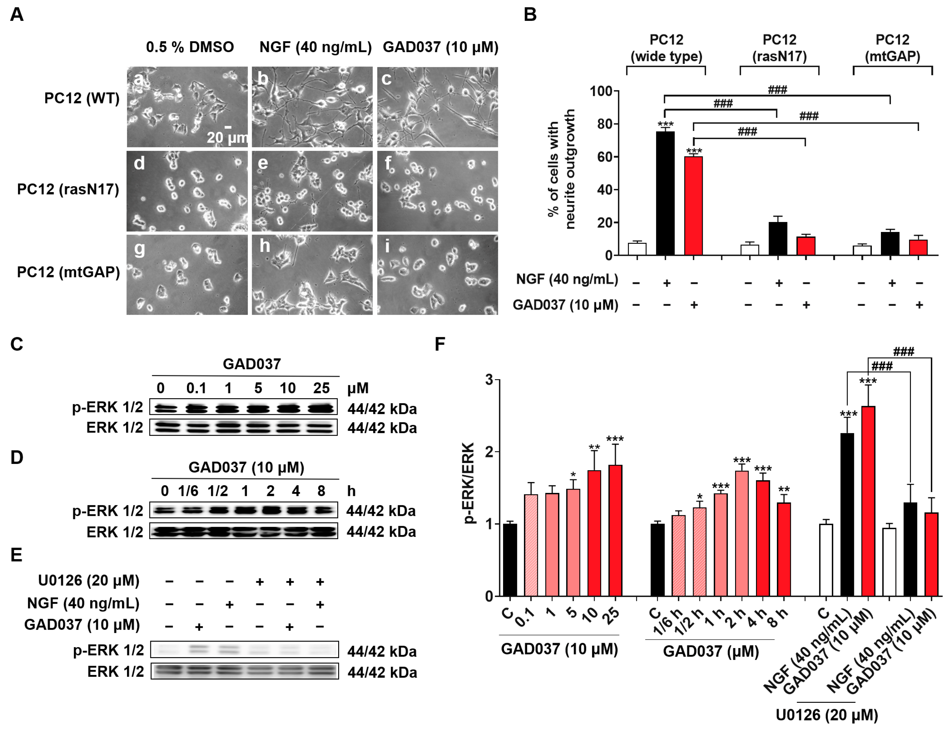 Antioxidants 14 00344 g008