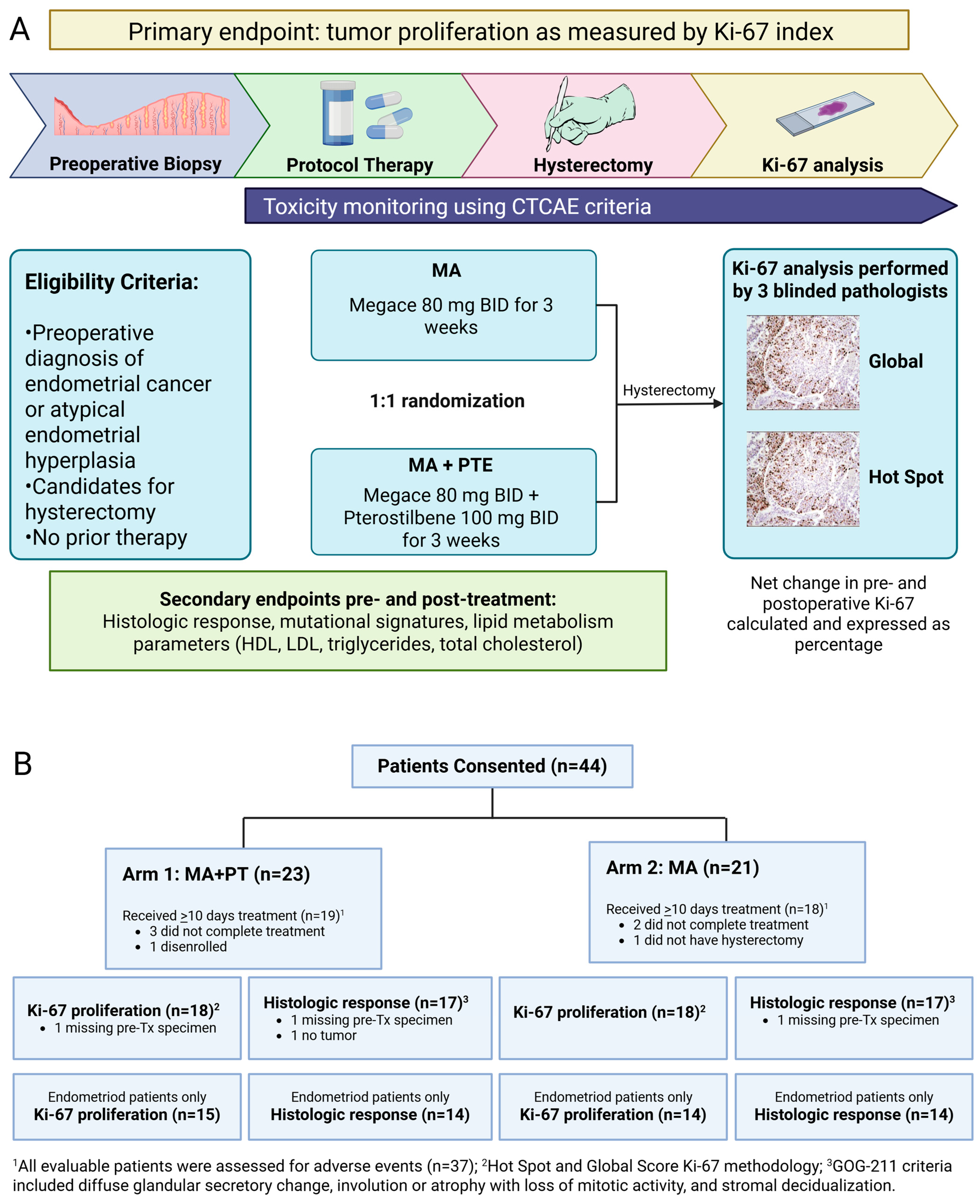 Antioxidants 14 00345 g001 Antioxidants 14 00345 g001