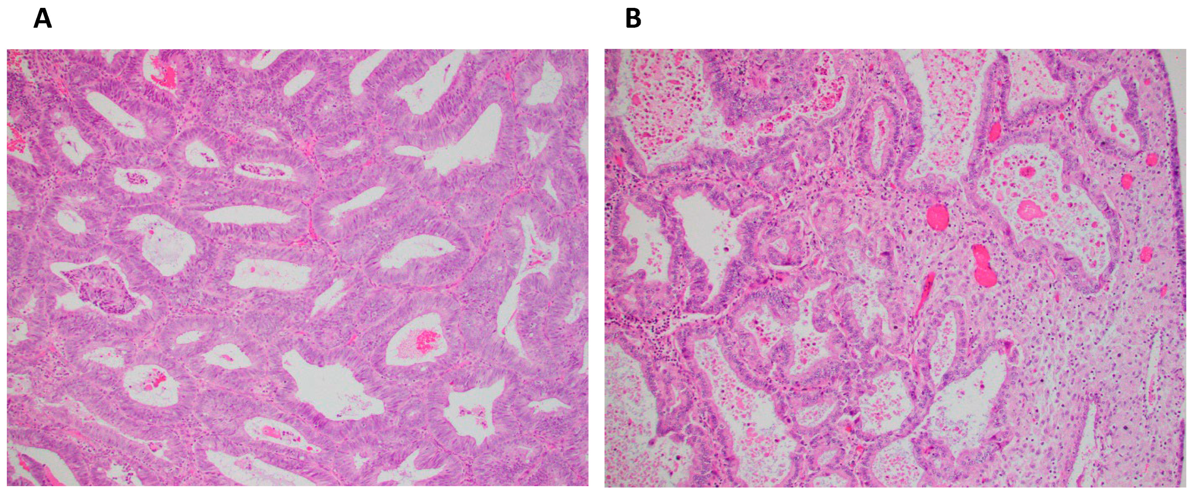 Antioxidants 14 00345 g003 Antioxidants 14 00345 g003