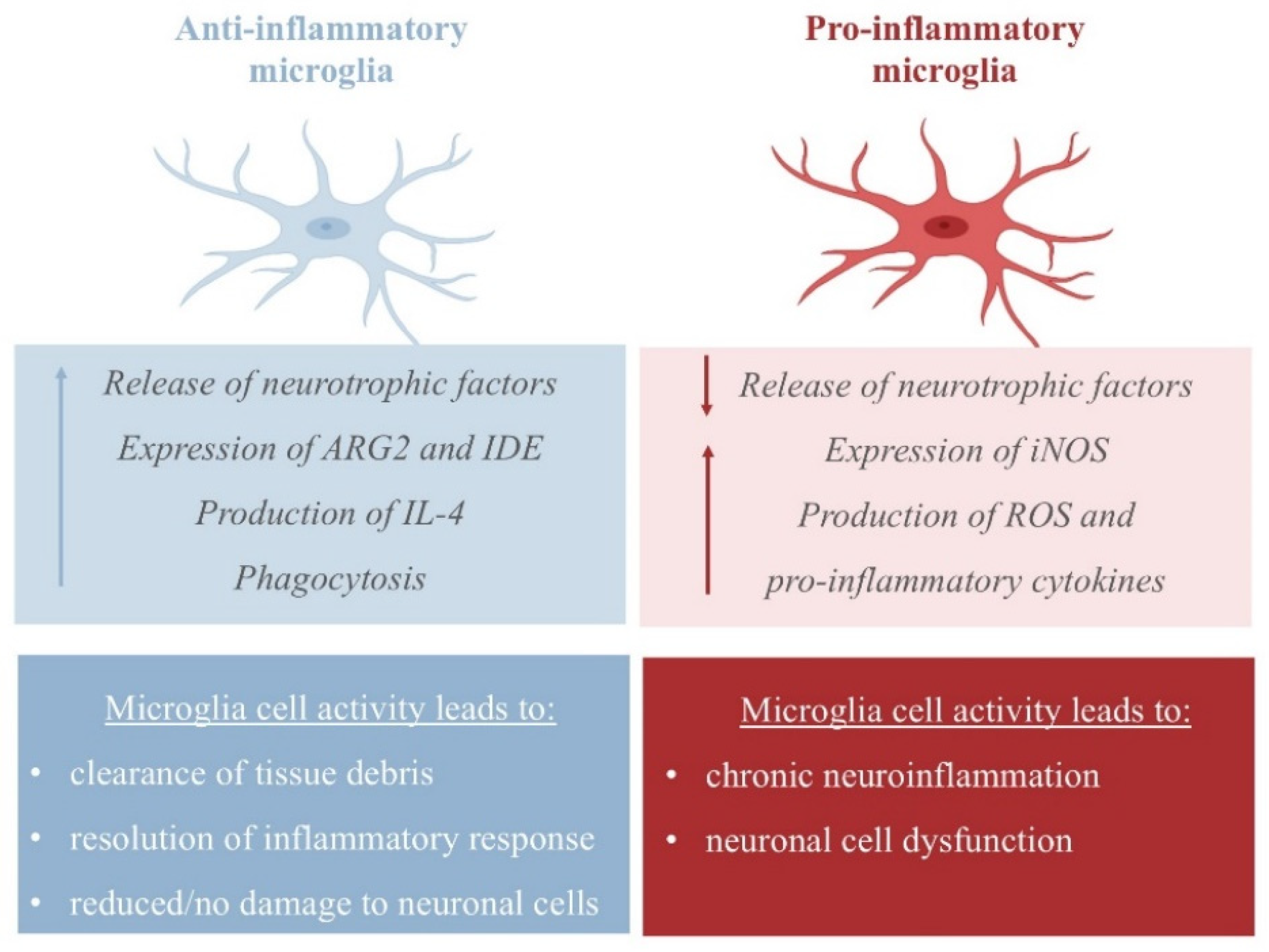 Antioxidants 14 00347 g002