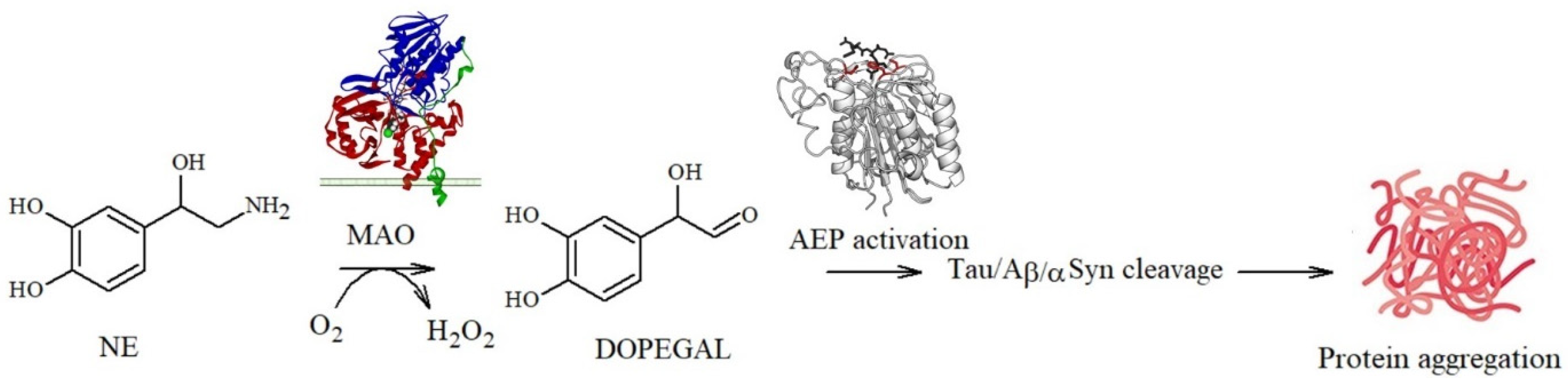 Antioxidants 14 00347 g004