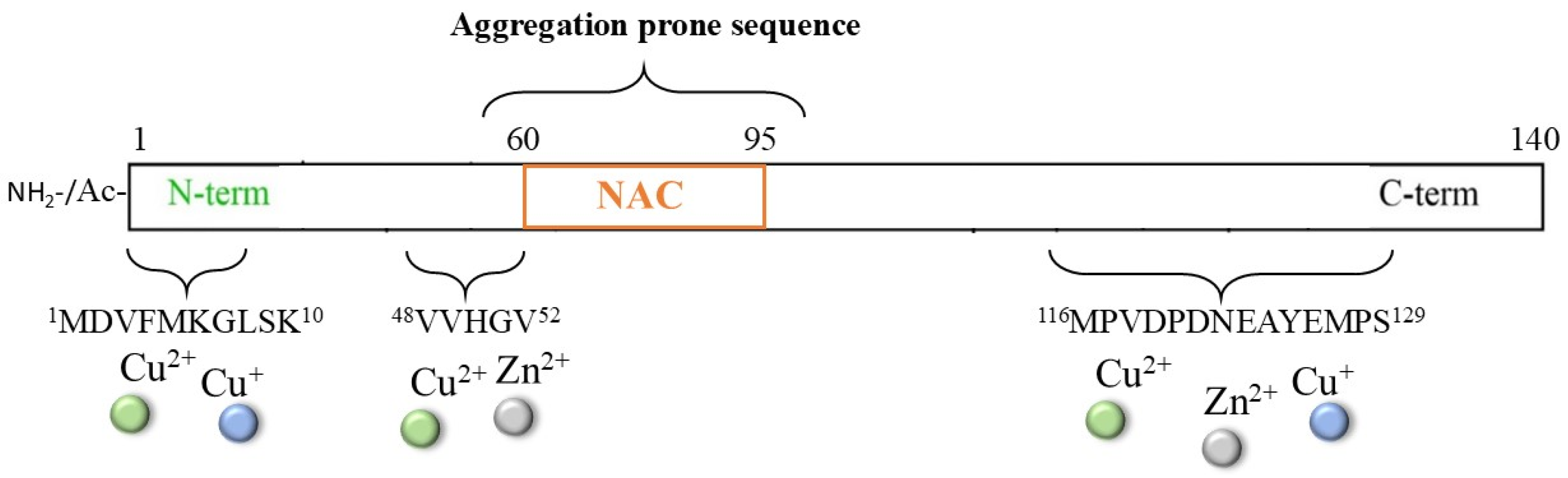 Antioxidants 14 00347 g006