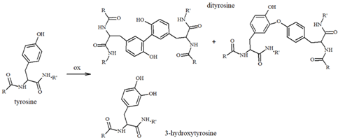 Antioxidants 14 00347 i005