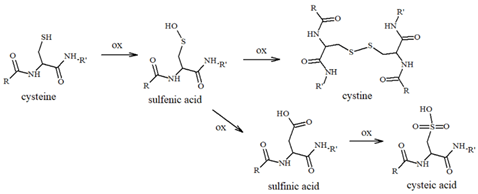 Antioxidants 14 00347 i007