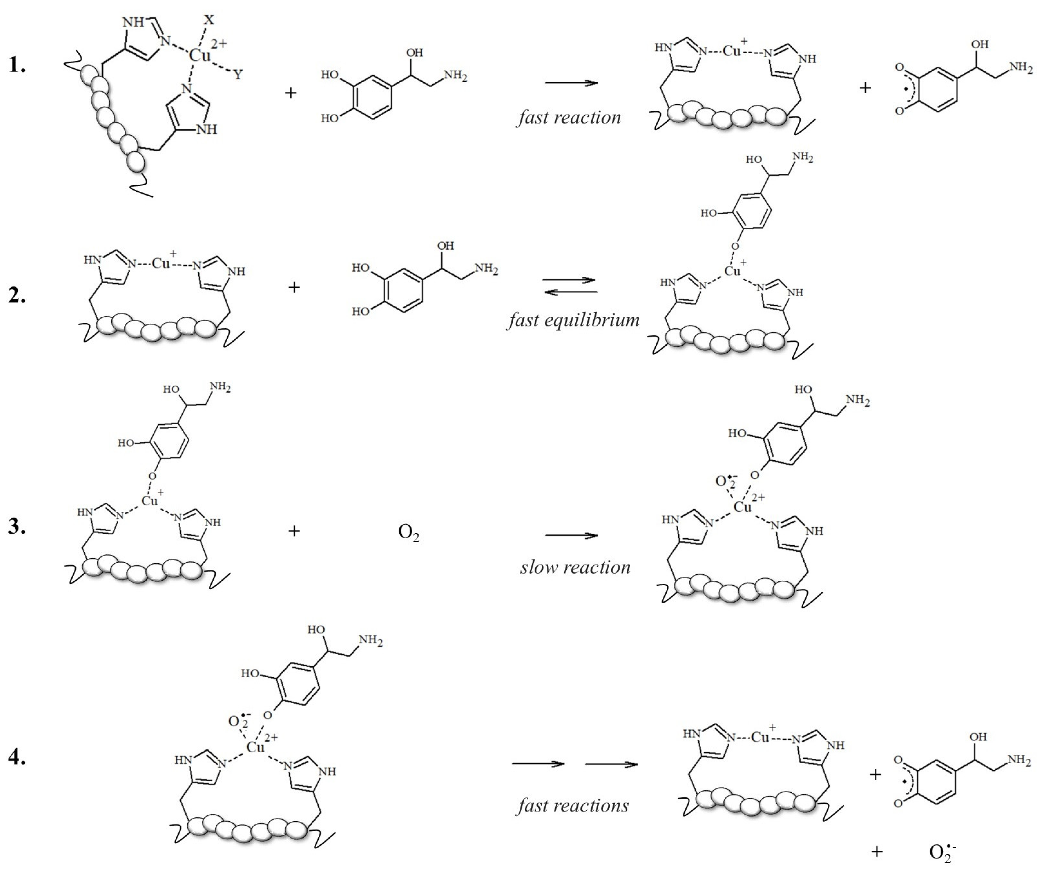 Antioxidants 14 00347 sch001