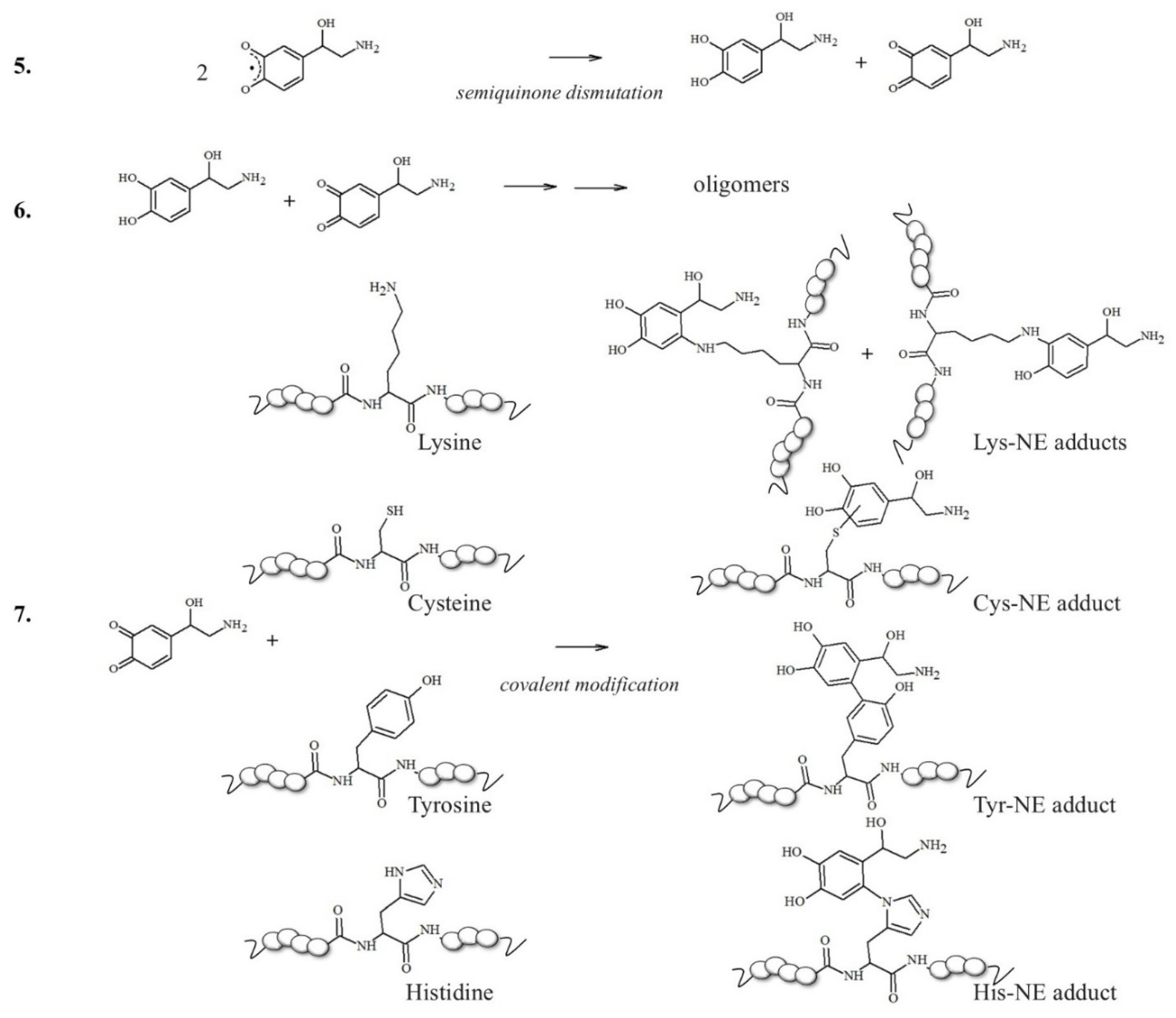 Antioxidants 14 00347 sch002