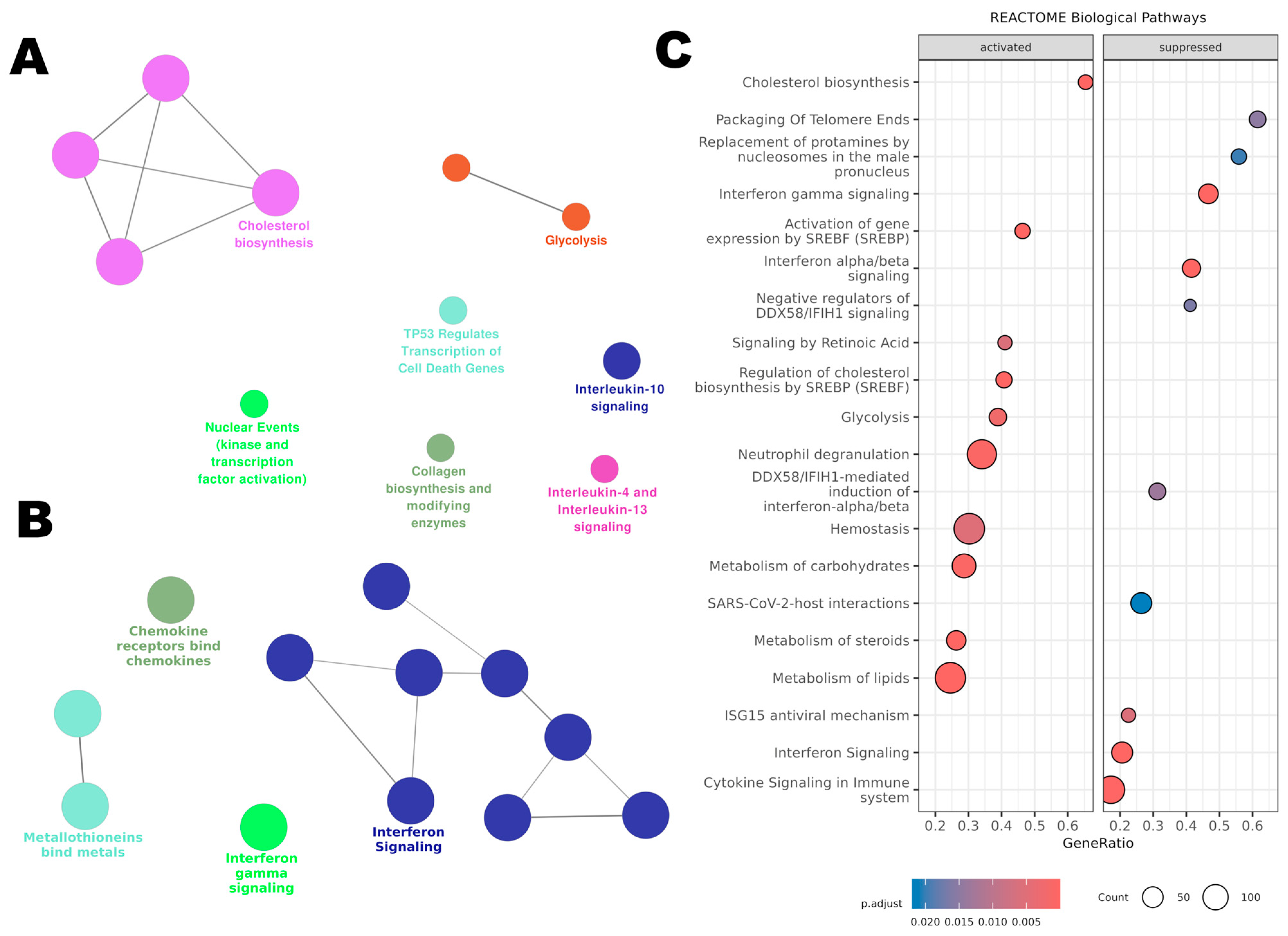 Antioxidants 14 00350 g008