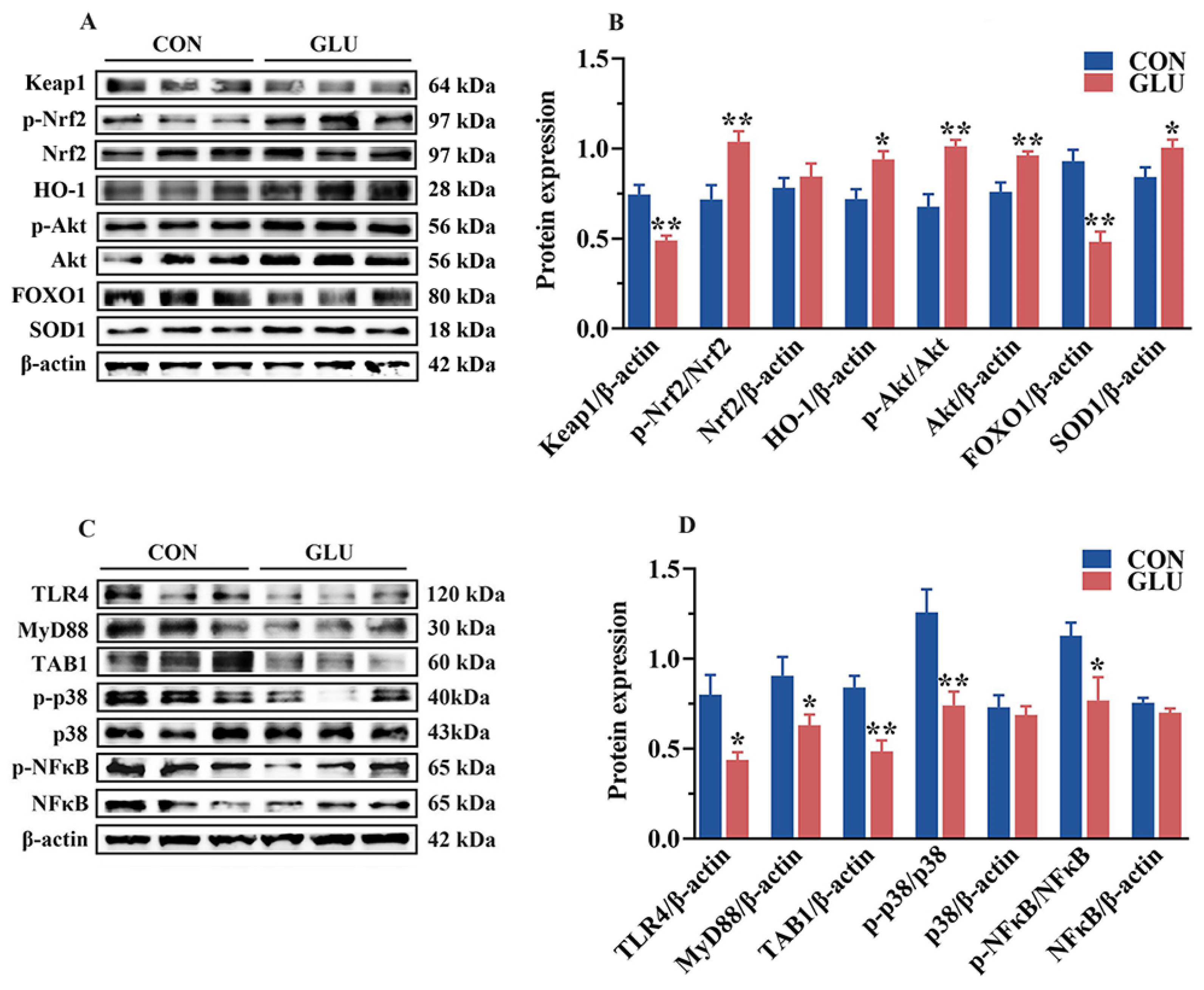 Antioxidants 14 00352 g011