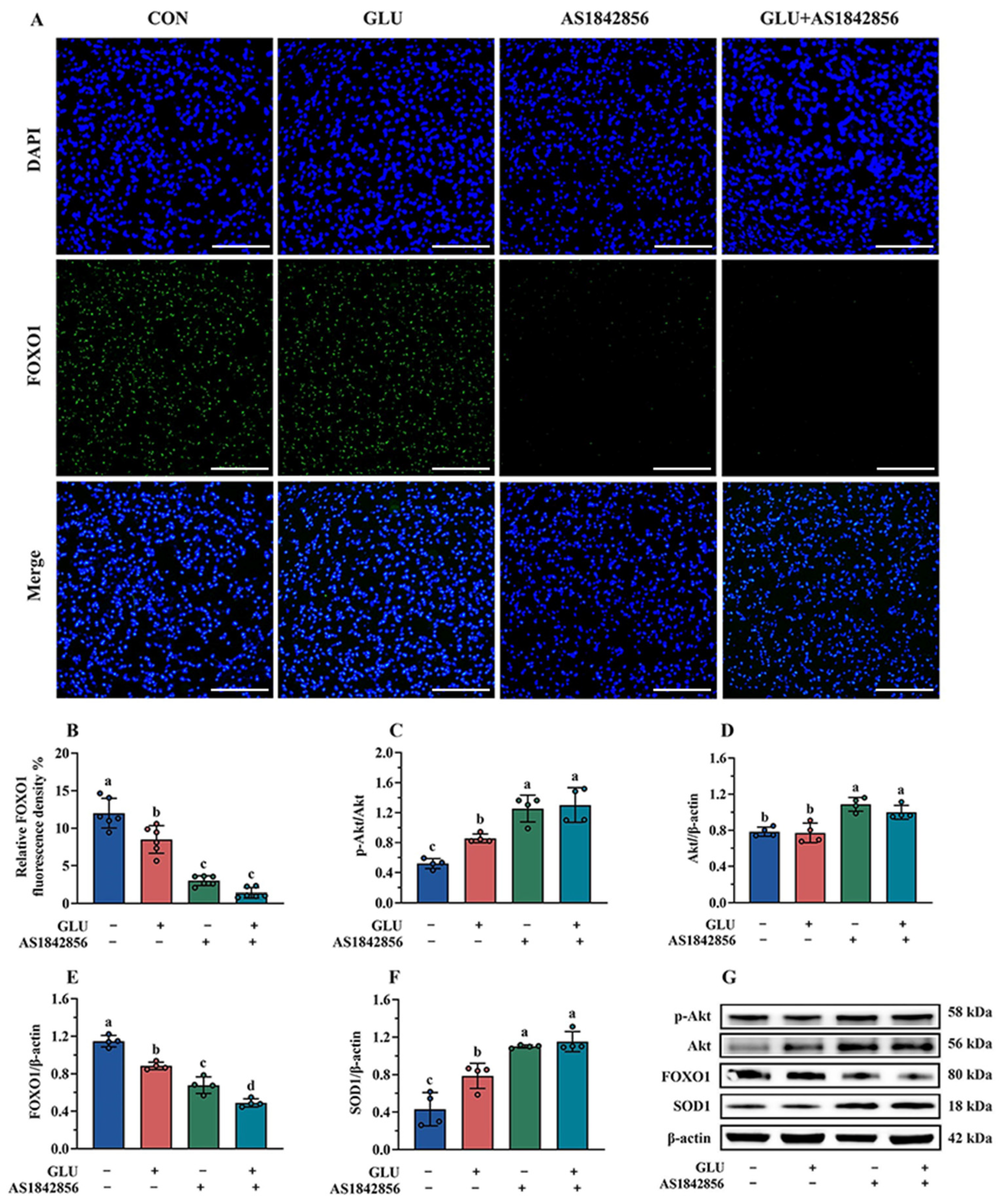 Antioxidants 14 00352 g015