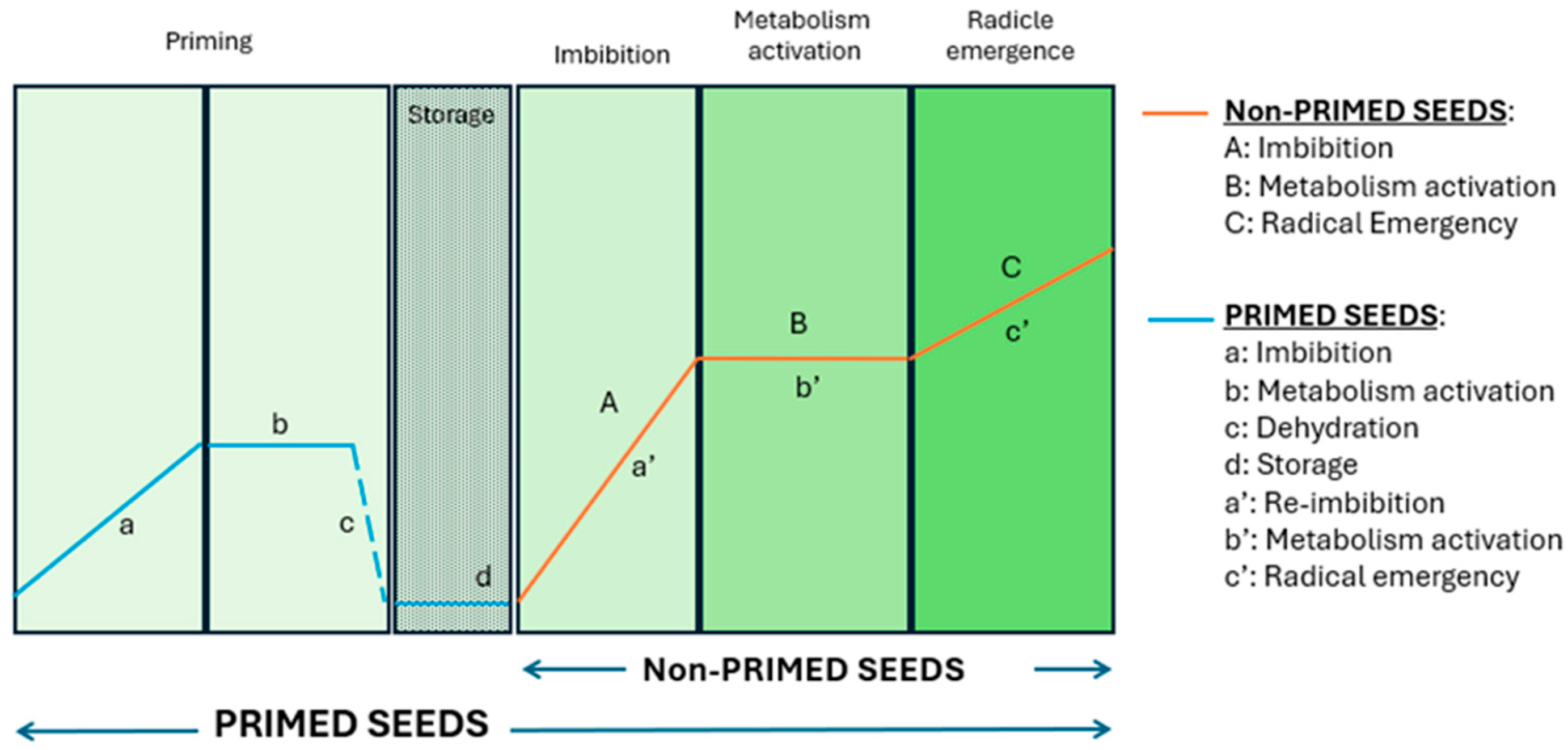 Antioxidants 14 00353 g001