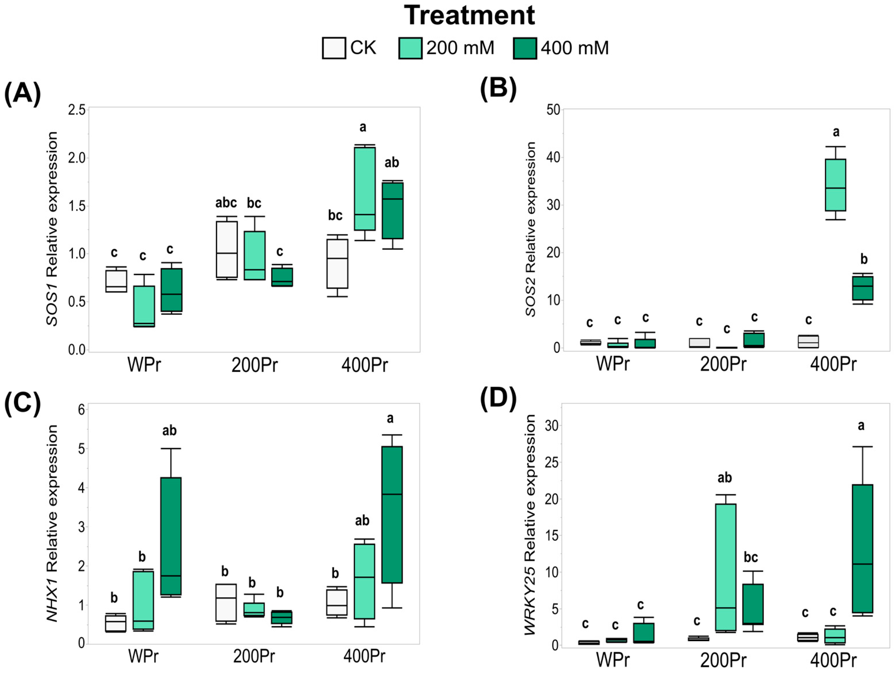 Antioxidants 14 00353 g007