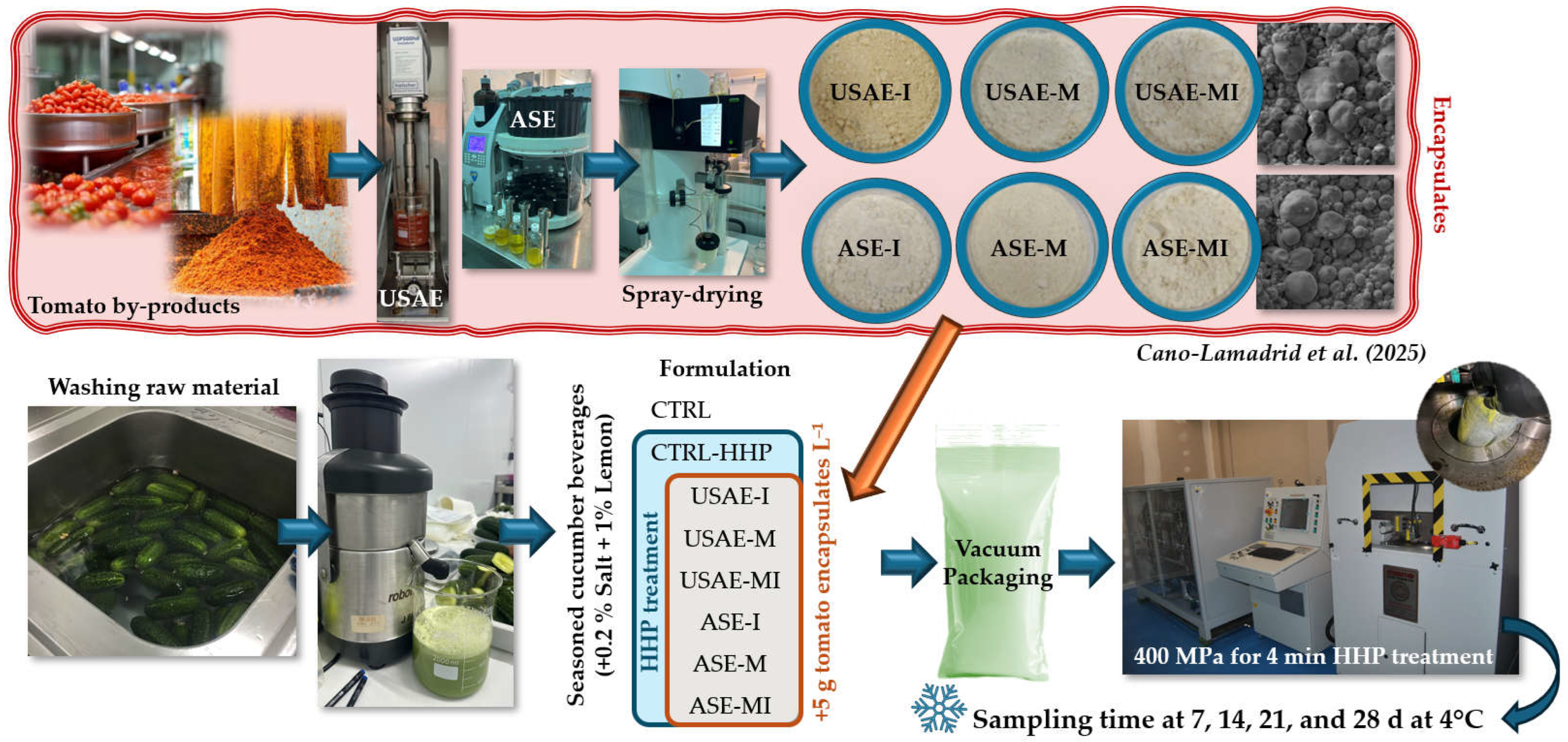 Antioxidants 14 00354 g001