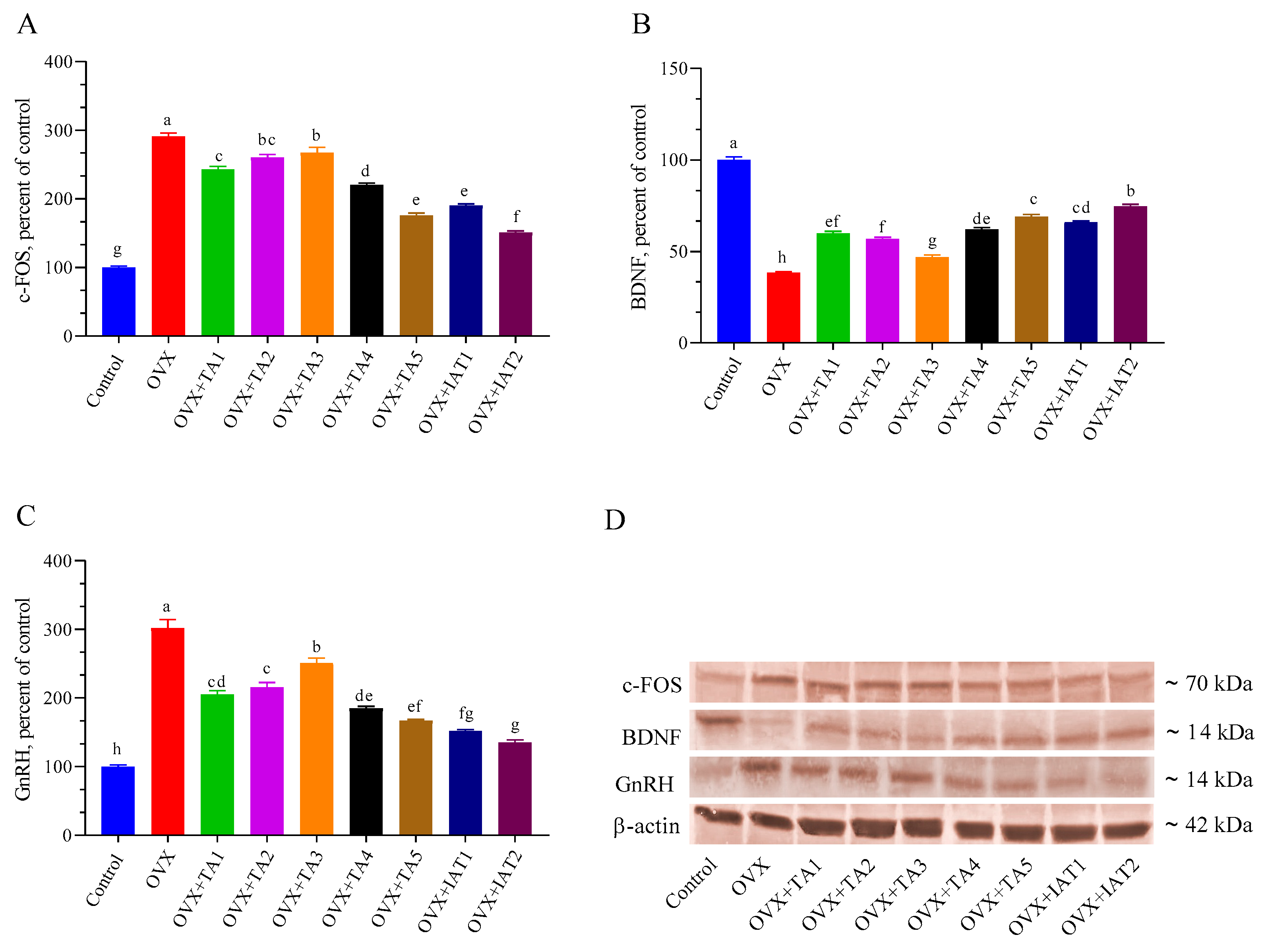 Antioxidants 14 00355 g008