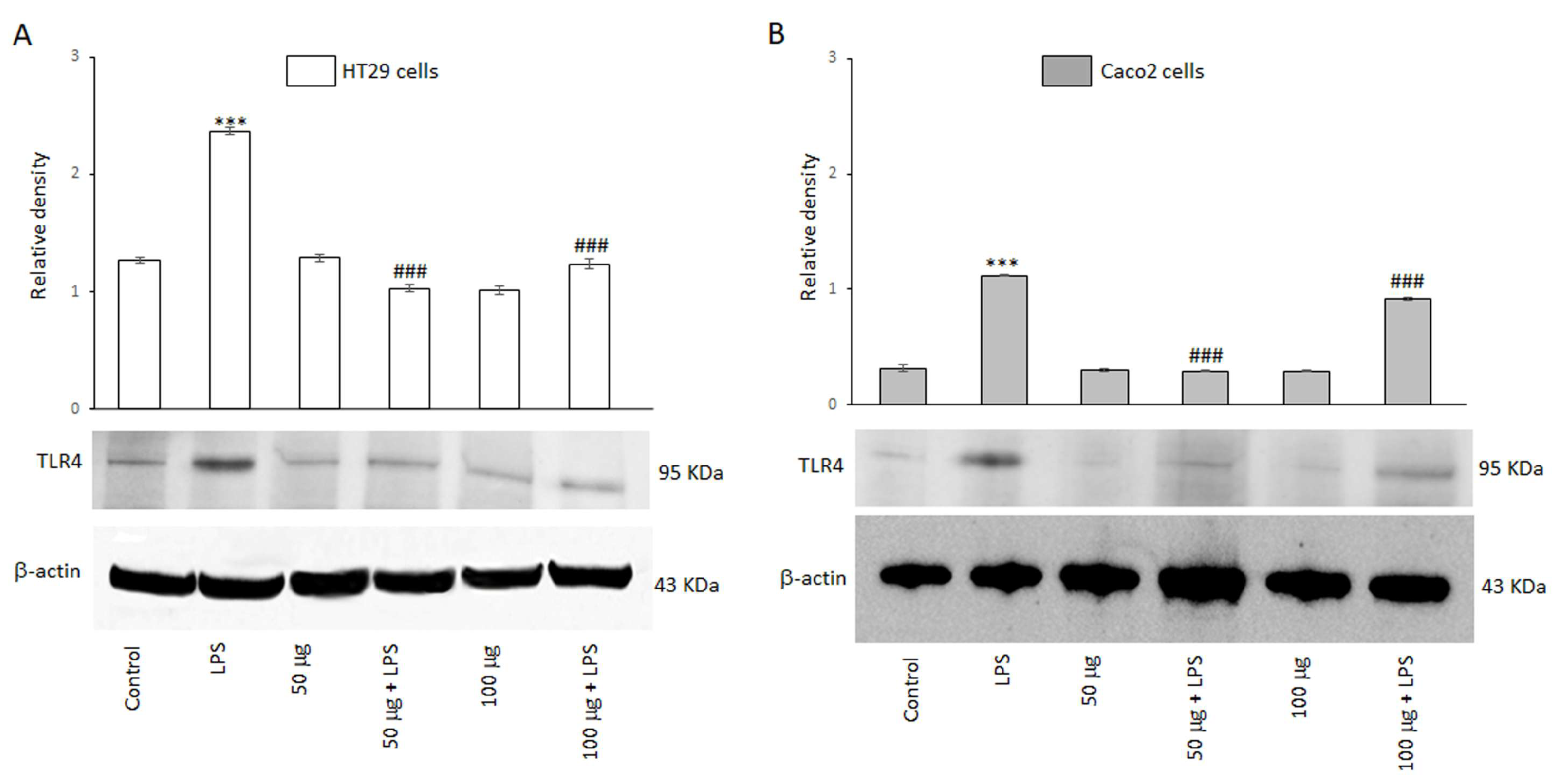 Antioxidants 14 00356 g002