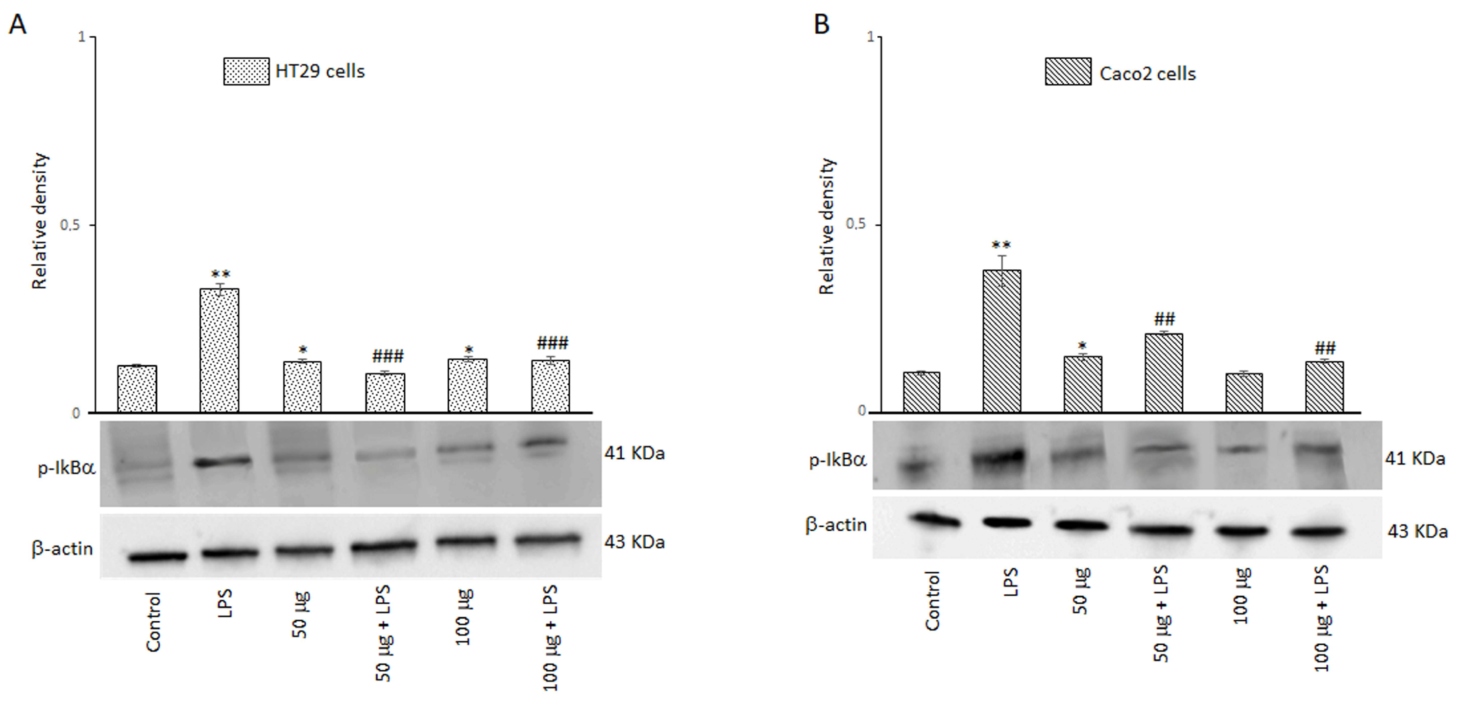 Antioxidants 14 00356 g007