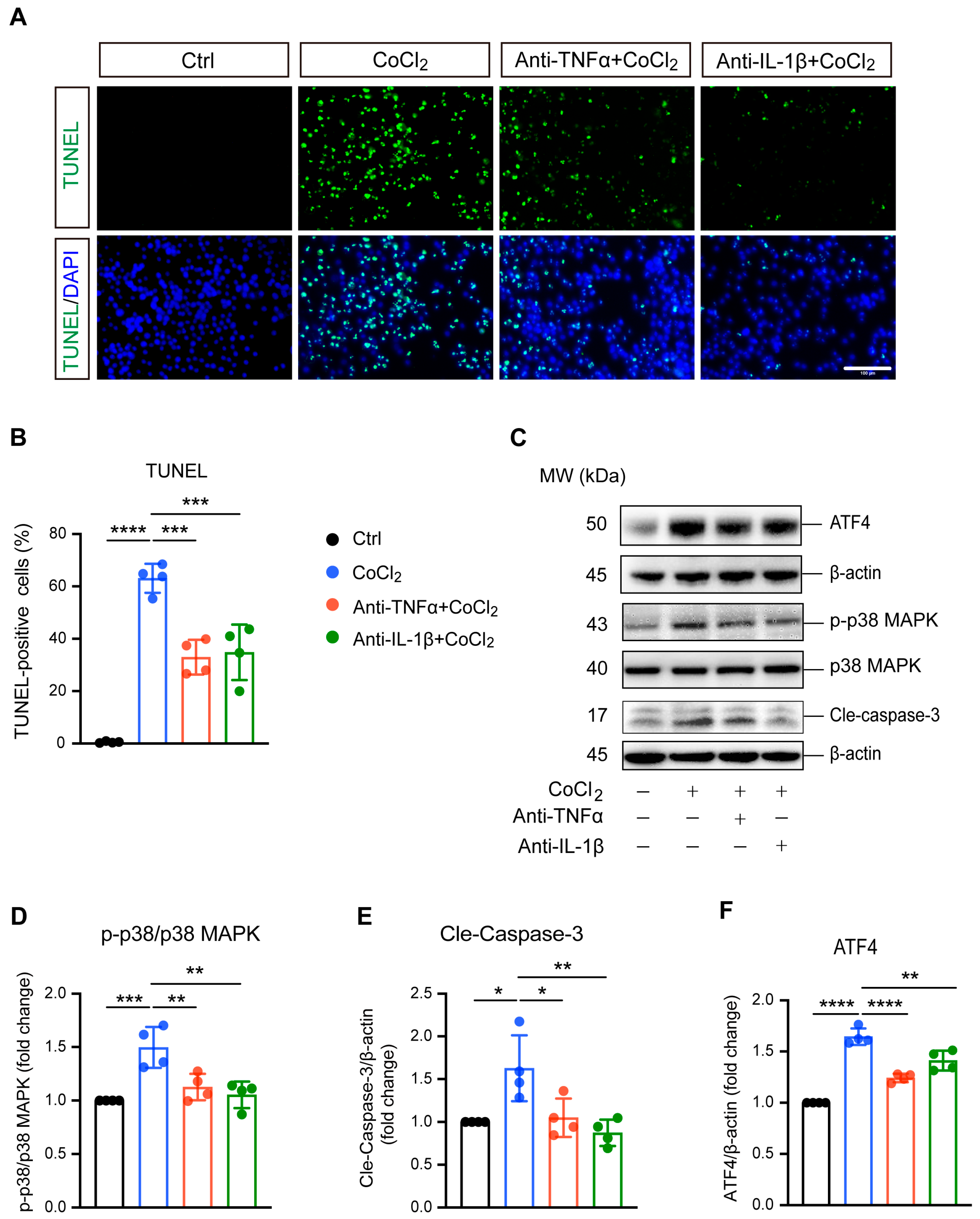 Antioxidants 14 00363 g003