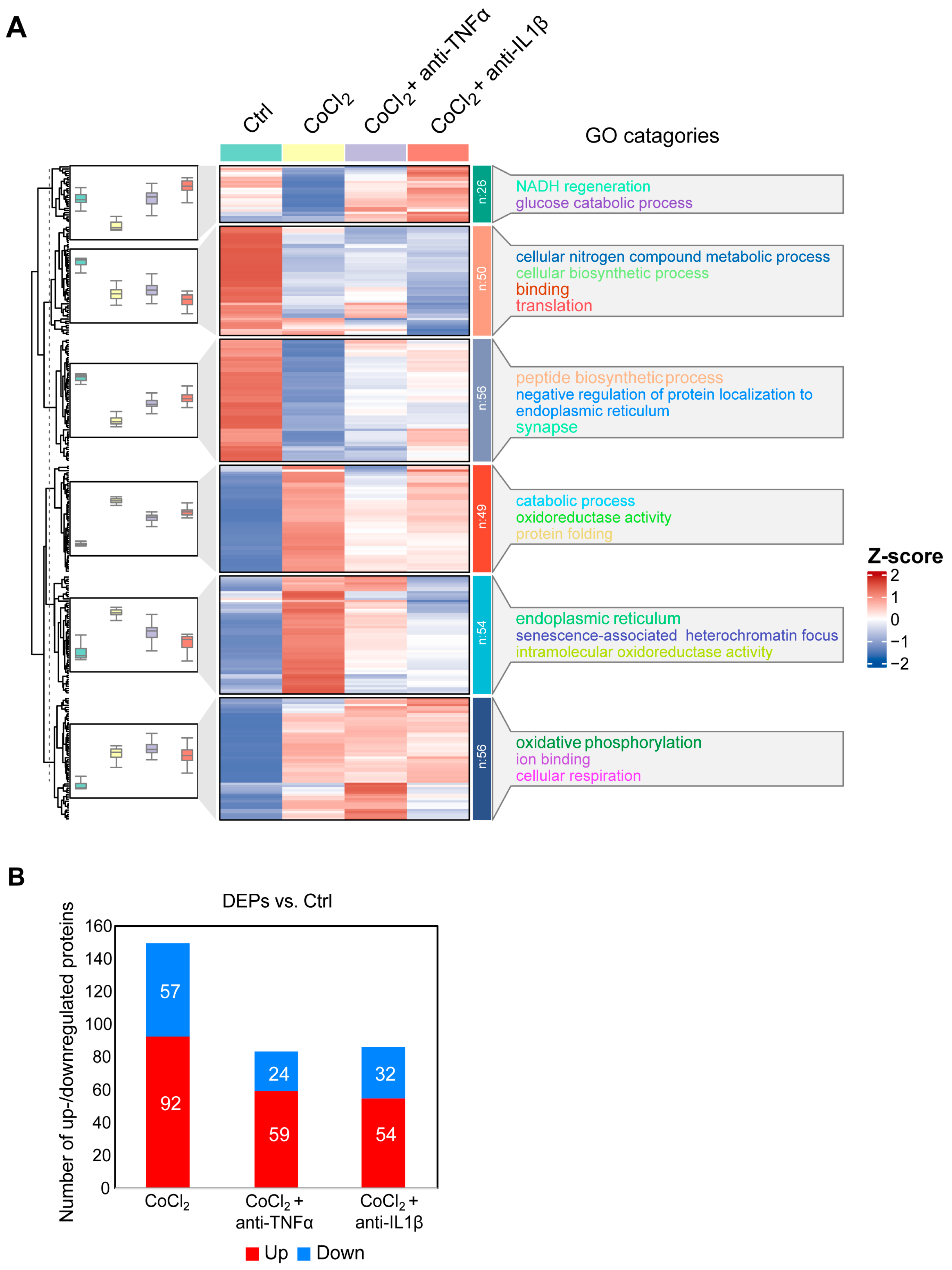Antioxidants 14 00363 g005
