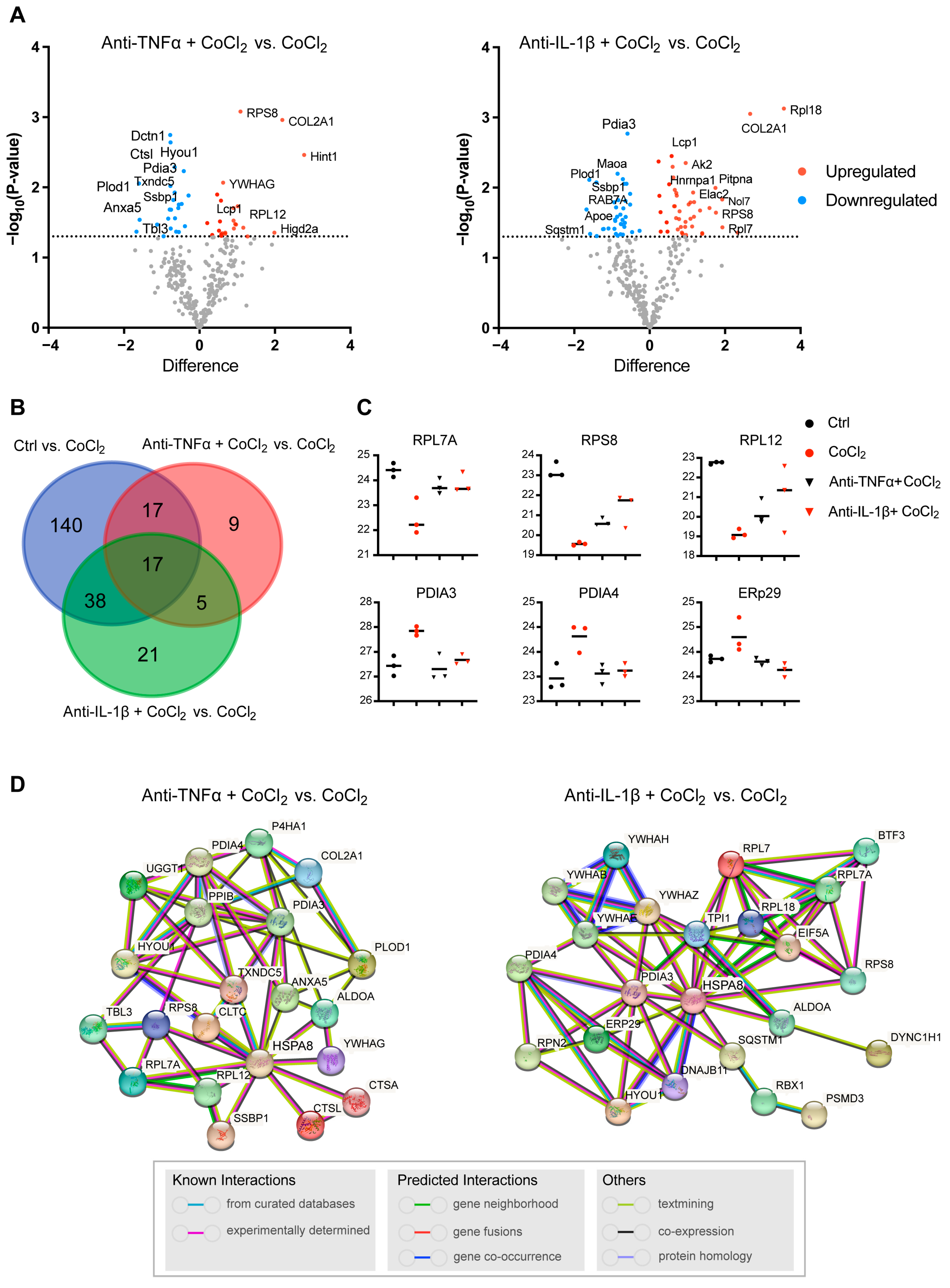 Antioxidants 14 00363 g007