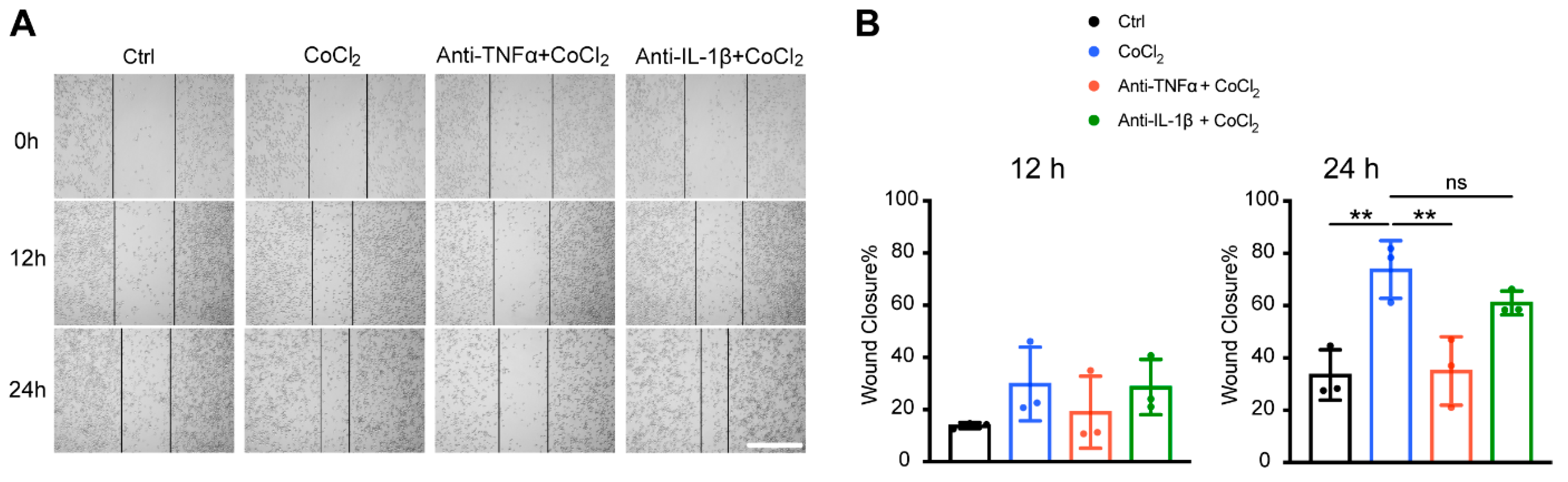 Antioxidants 14 00363 g008