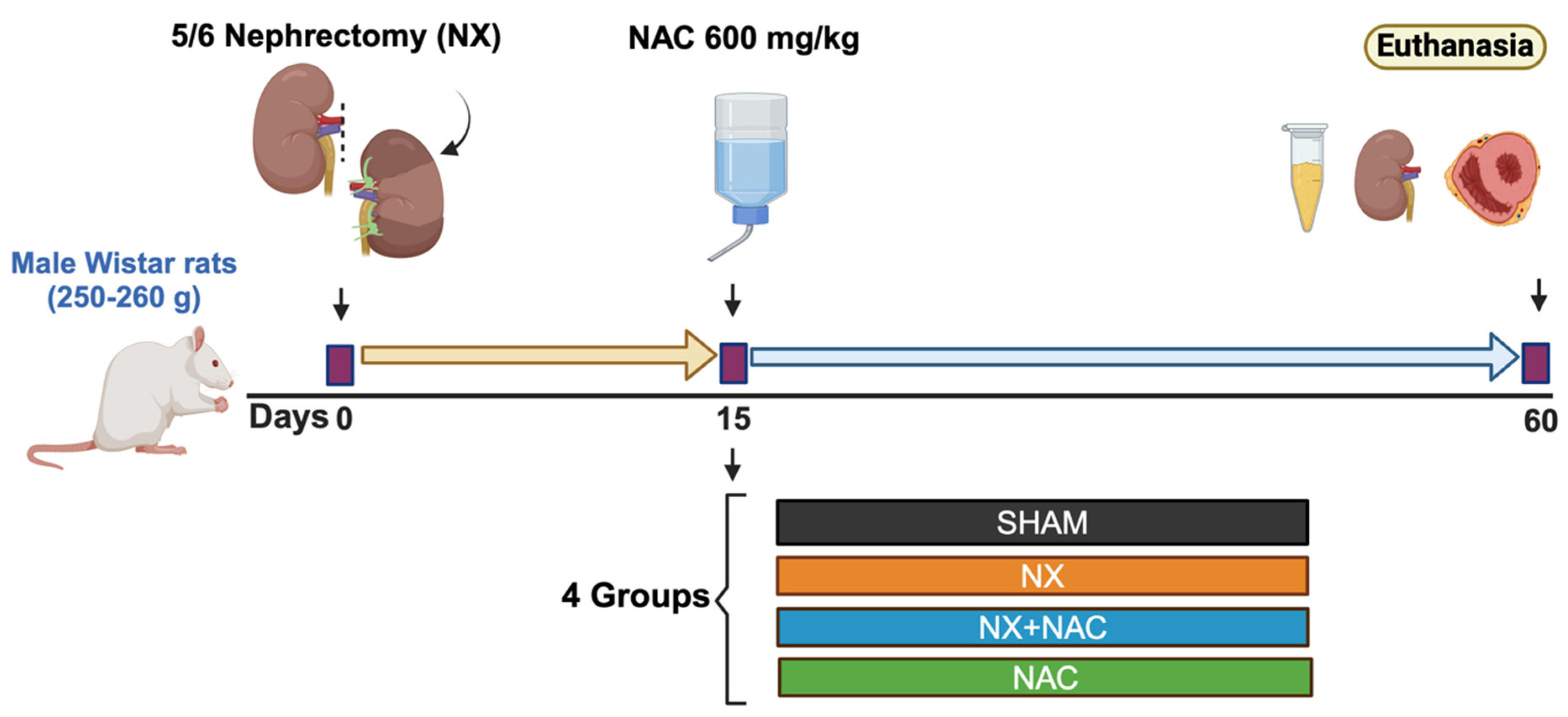 Antioxidants 14 00367 g001