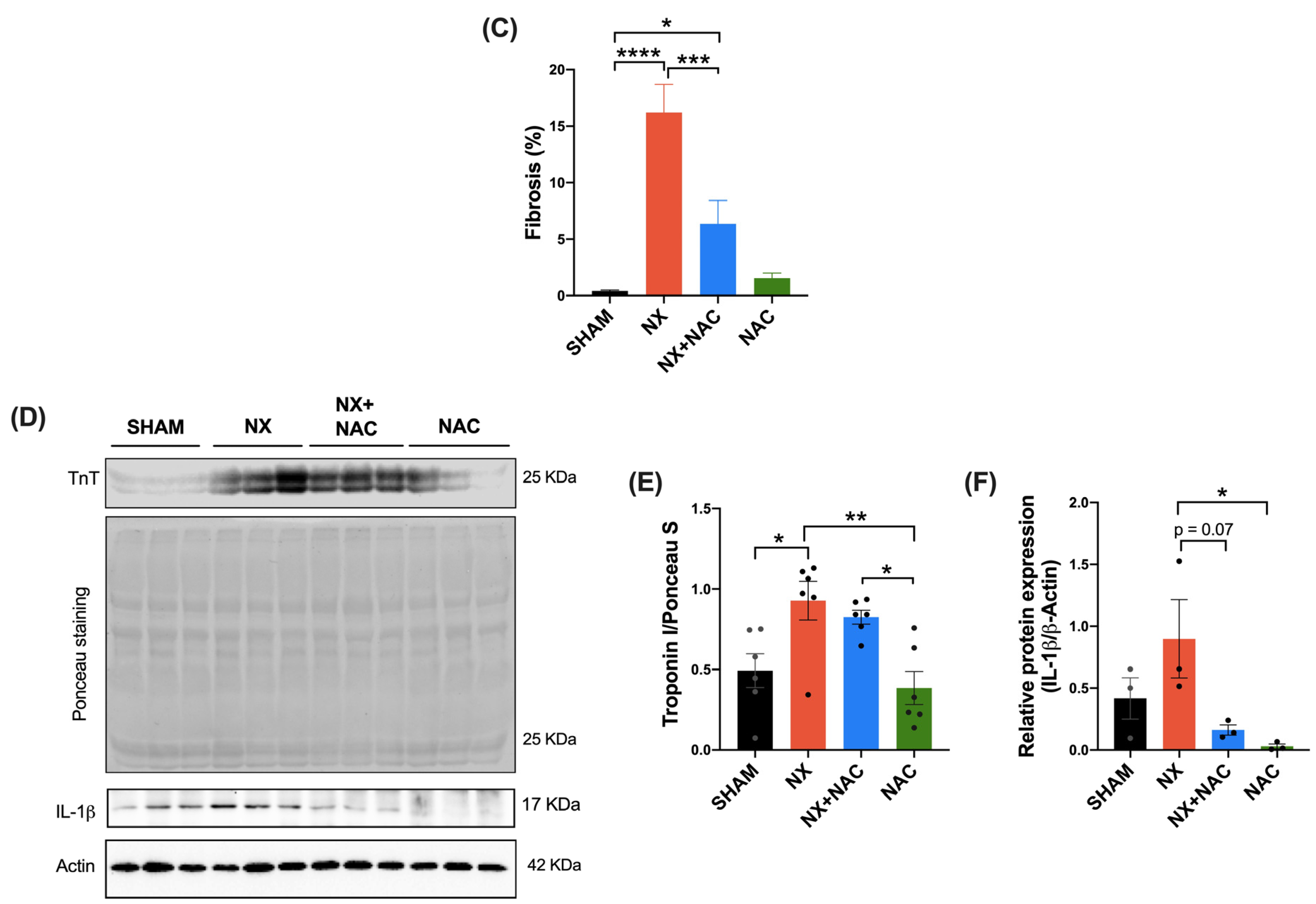 Antioxidants 14 00367 g004b