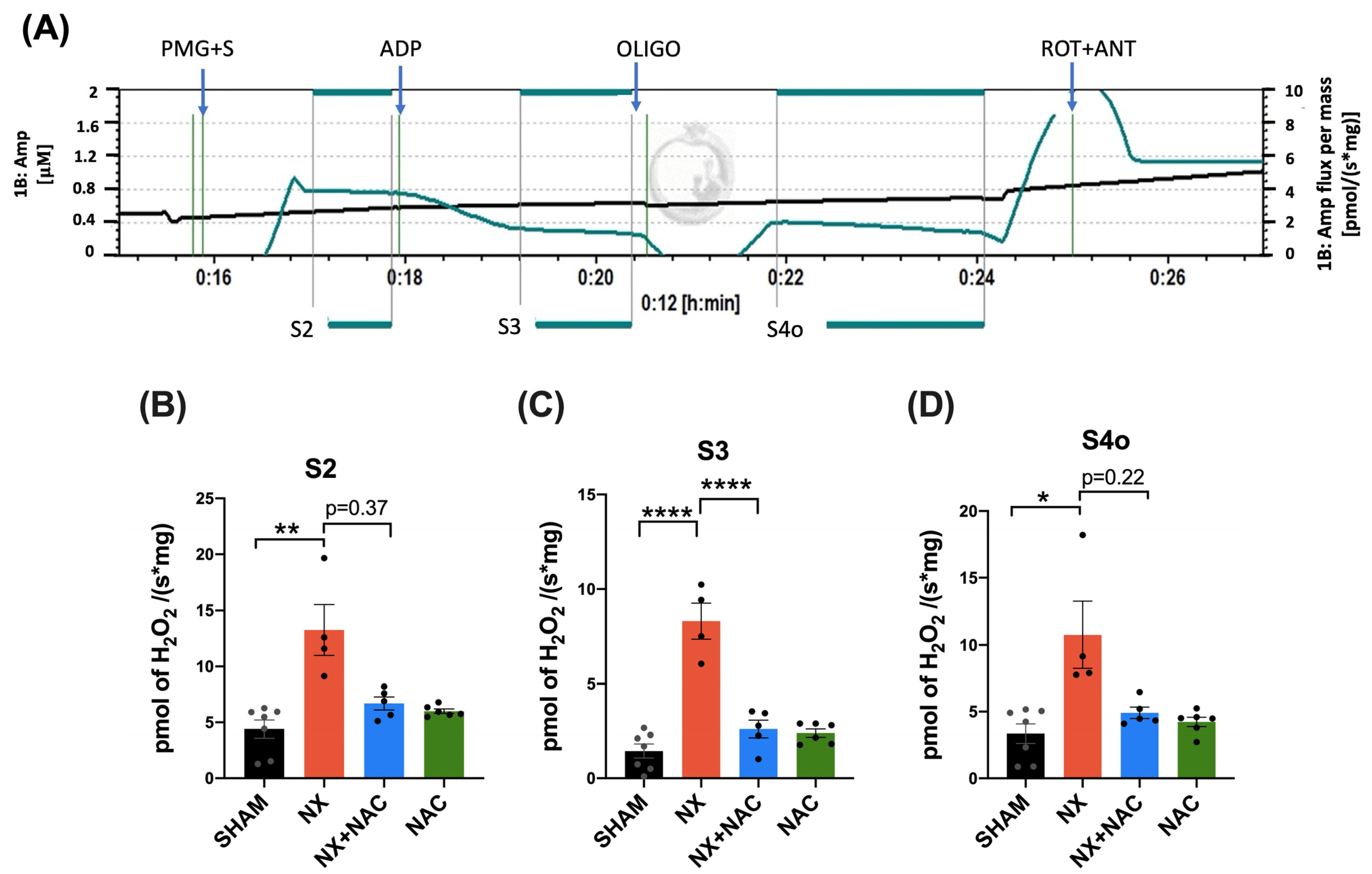 Antioxidants 14 00367 g007a