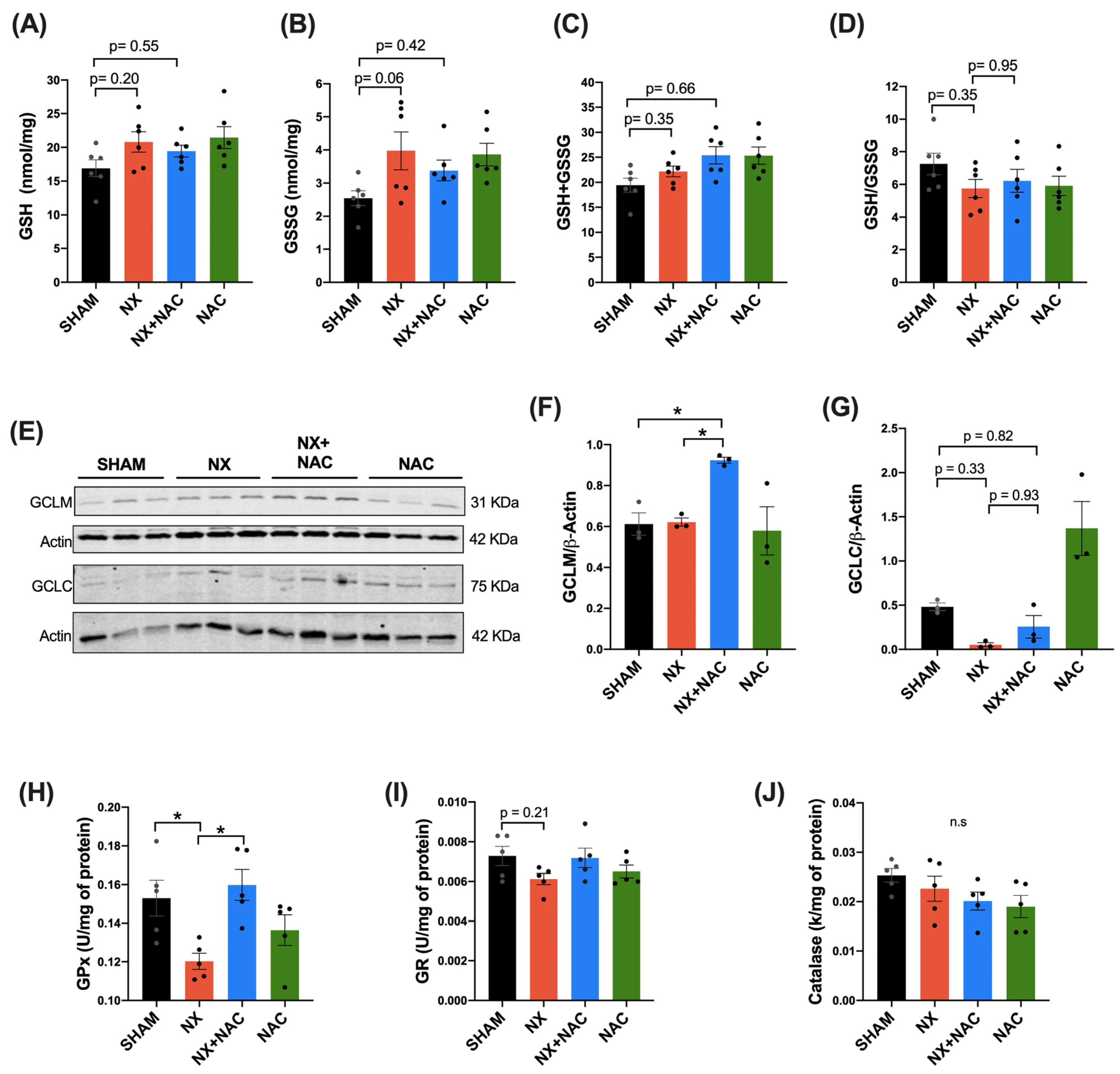 Antioxidants 14 00367 g008